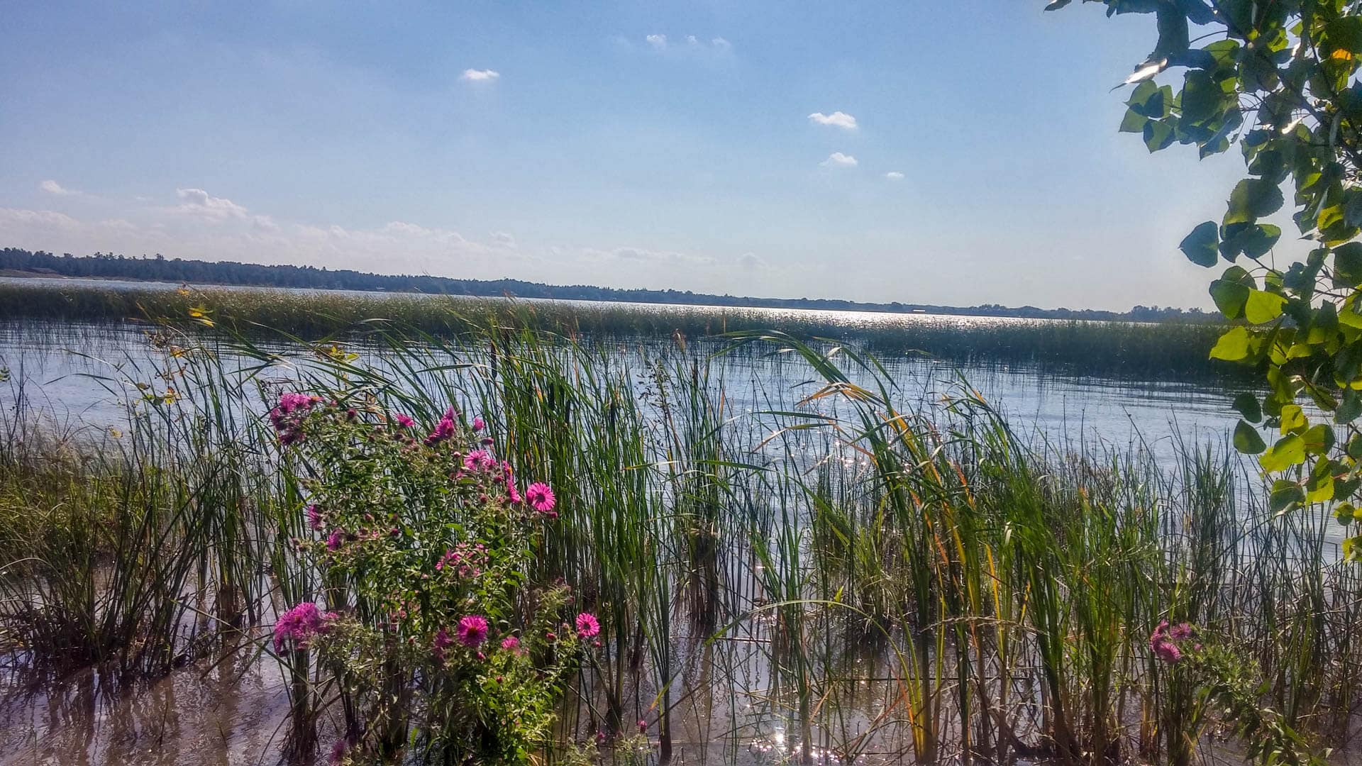 1920x1080 Lake Huron (Mostly) trip travel blog travel