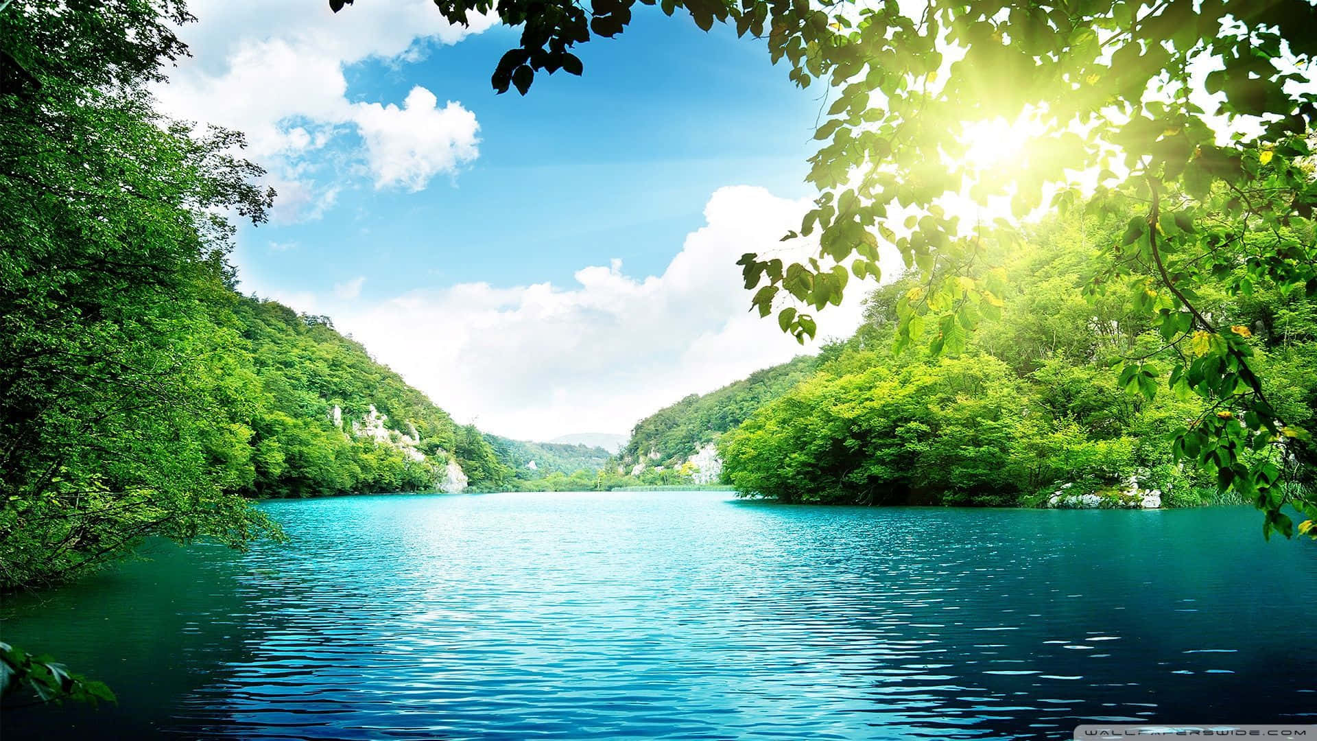 1920x1080 Download Bright Natural Background Wallpaper