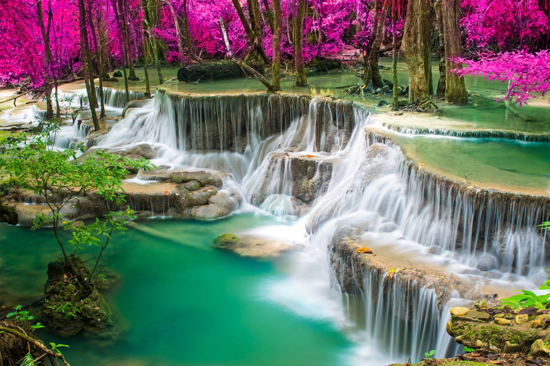 1920x1280 4K Ultra HD Serene Waterfall Amid Vibrant Blooming Naturex3334