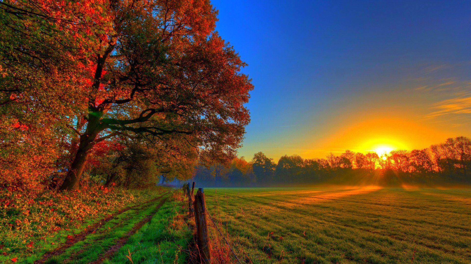 1920x1080 4K Ultra HD Fall Sunset in Nature Wallpaperx2160