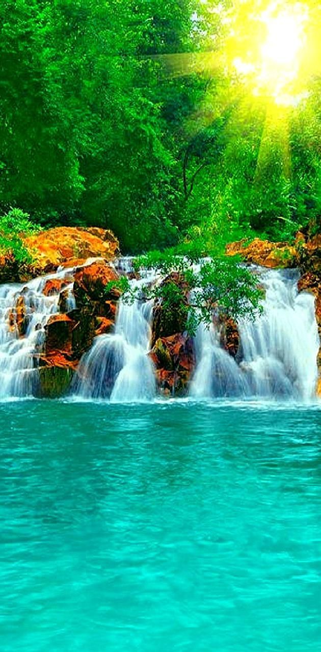 630x1280 nature---- wallpaper
