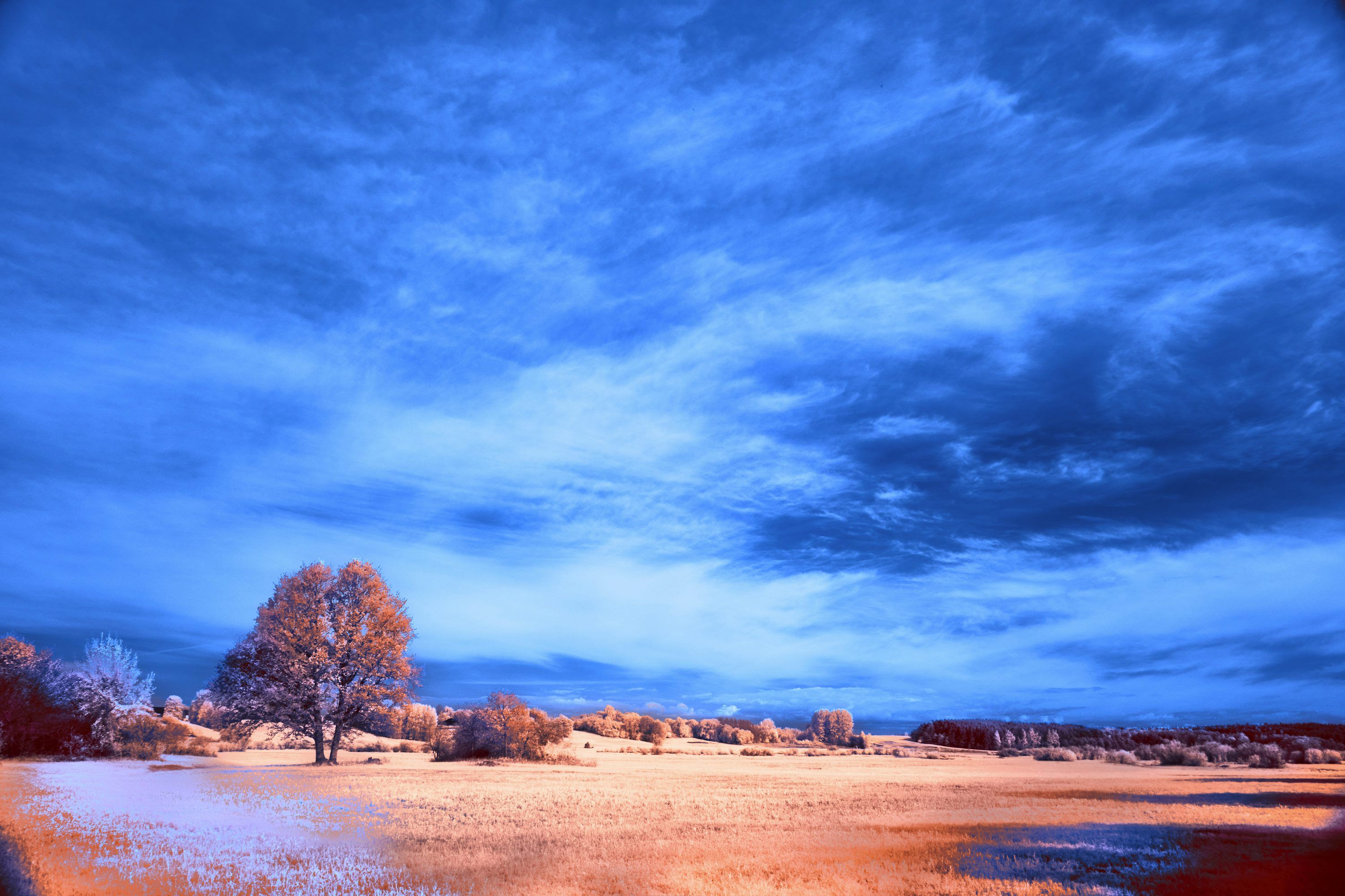 3000x2000 Vibrant landscape with surreal blue sky and orange earth. photo
