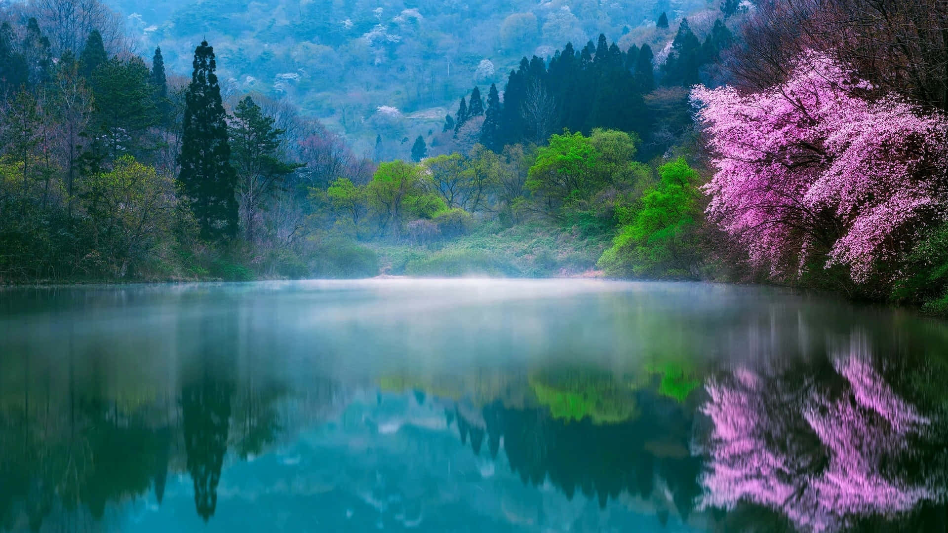 1920x1080 Beautiful View Wallpaper
