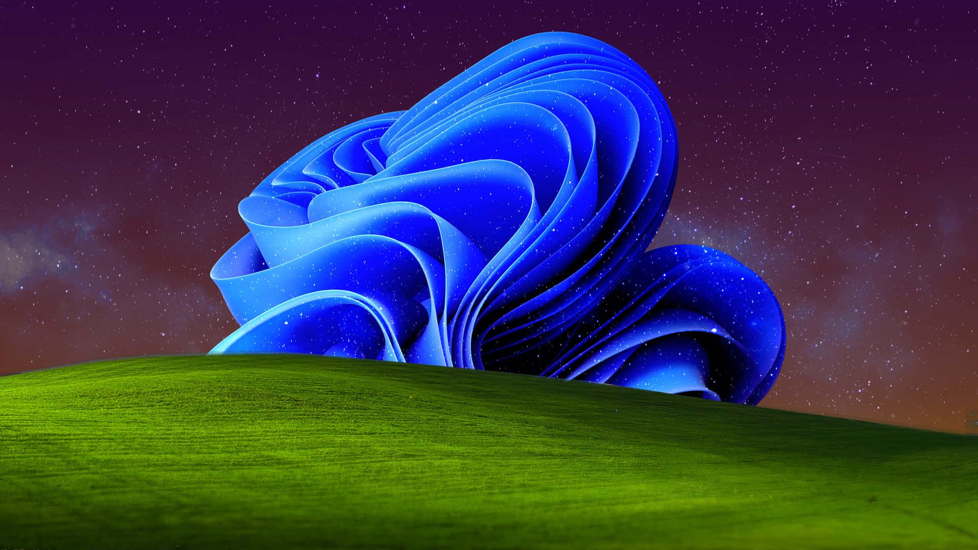 1920x1080 Windows Xp Bliss Wallpaper