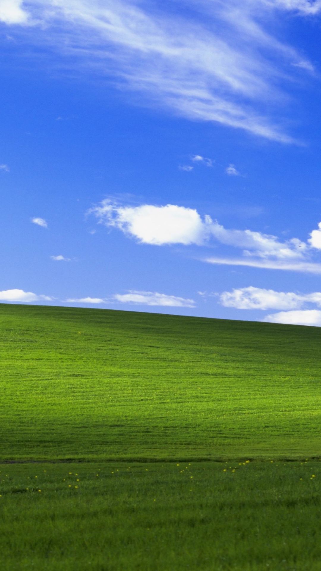 1080x1920 Windows Xp Phone Wallpaper: Free 4K & HD Downloads