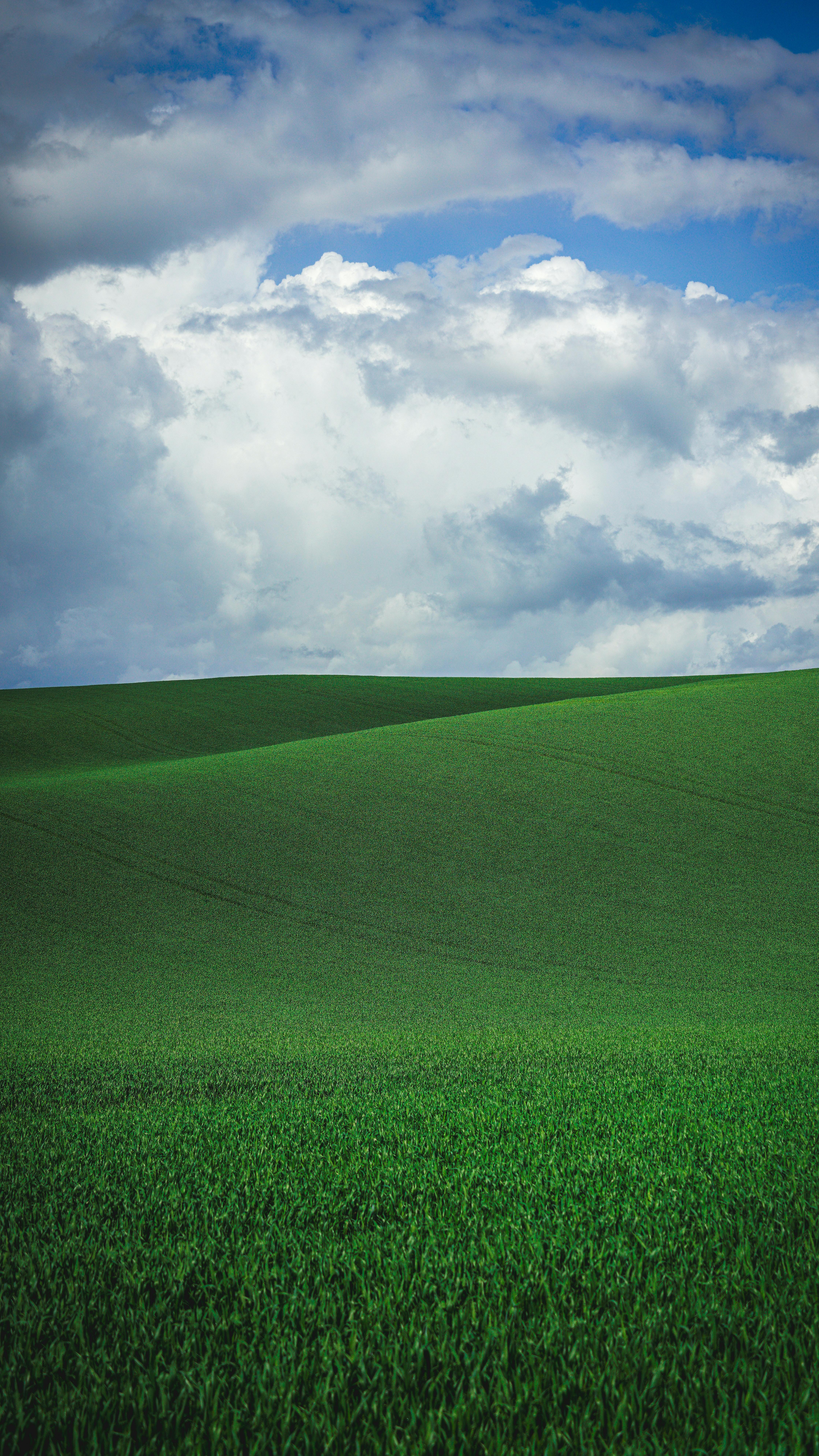 4472x7952 Windows Xp Wallpaper Photo, Download The BEST Free Windows Xp Wallpaper & HD Image