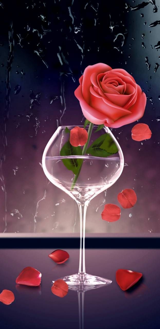623x1280 RoseInGlass wallpaper