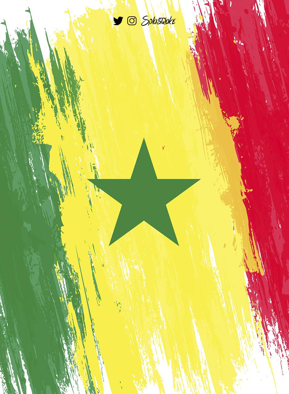 Senegal Wallpapers Top Free Senegal Backgrounds Wallpaperaccess