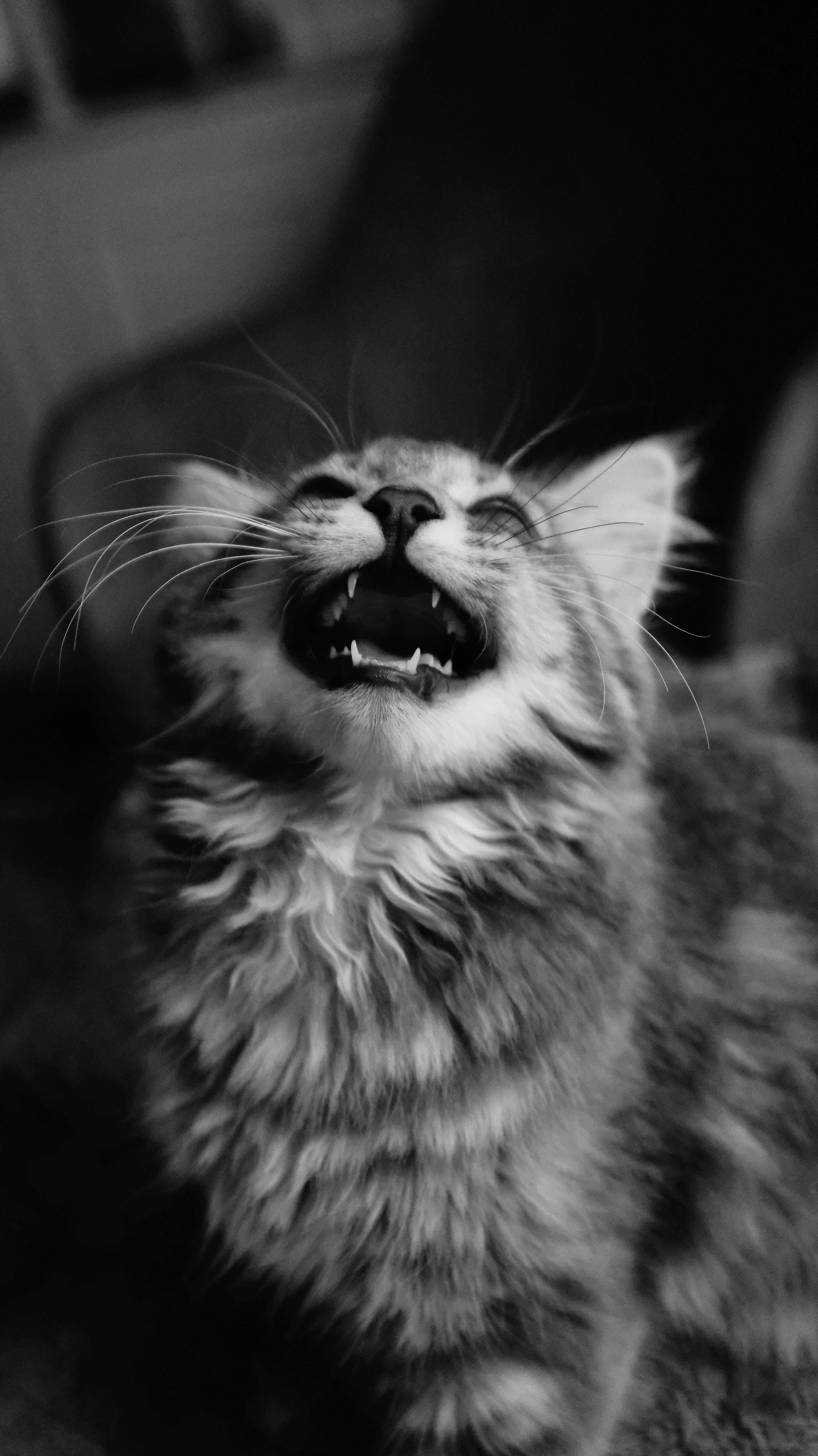3375x6000 My silly baby makes the best lock screen background
