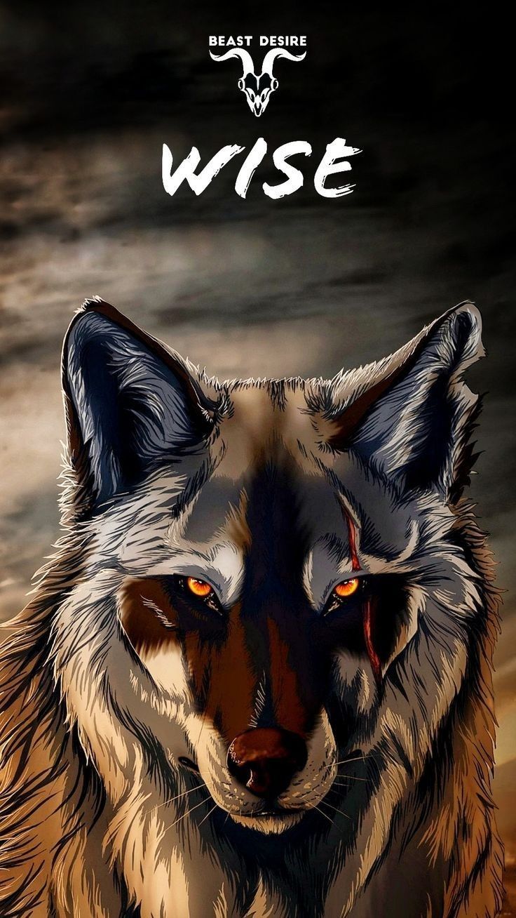 736x1308 Wise wolf wallpaper. Sigma wolf wallpaper, Beast wallpaper hd, Beast quotes