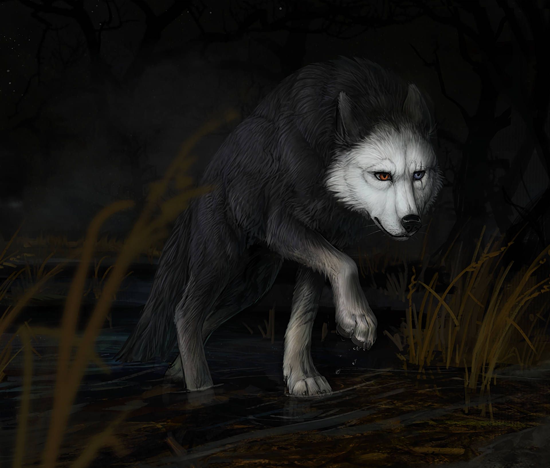 Wise Wolf Wallpapers - Top Free Wise Wolf Backgrounds - WallpaperAccess