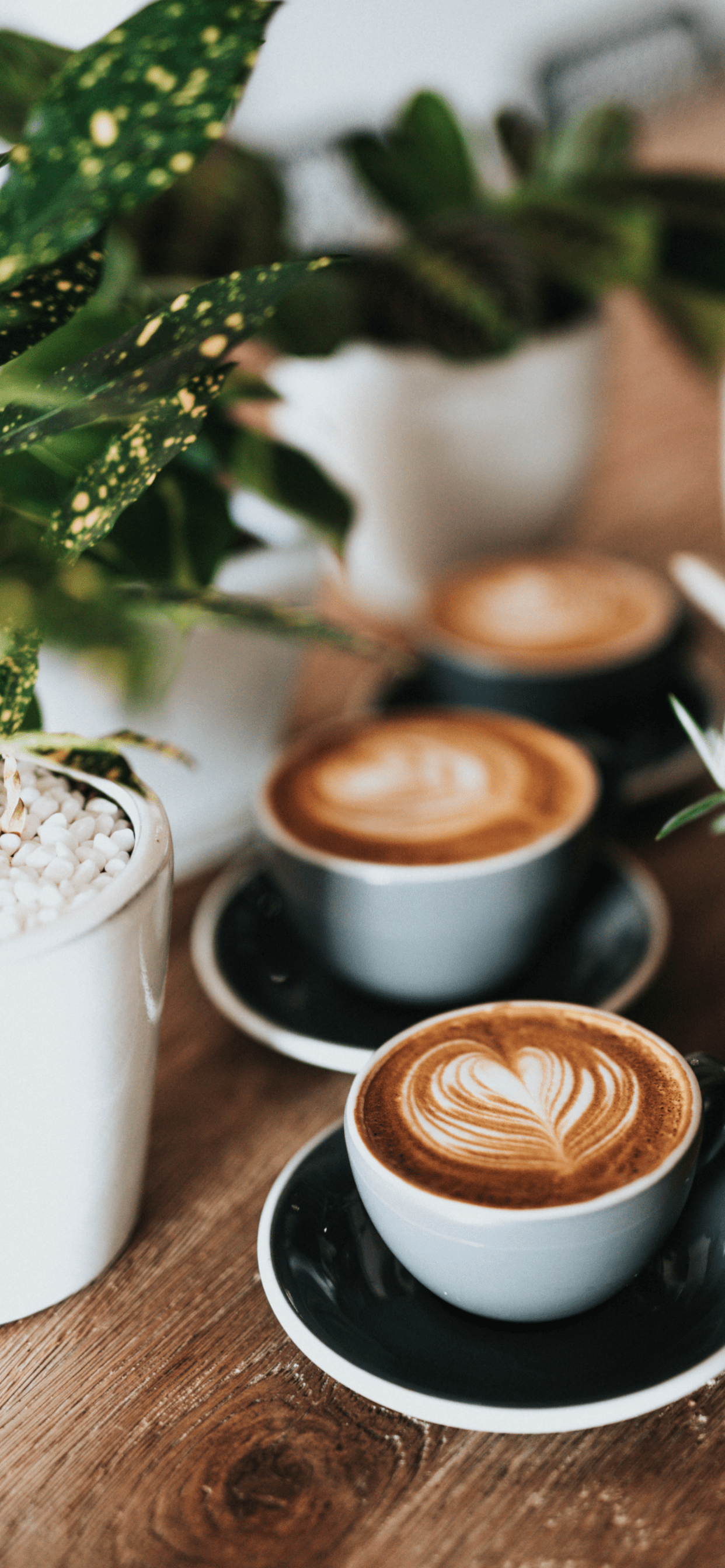 1242x2688 Coffee Wallpaper for iPhone Pro Max, X, 6