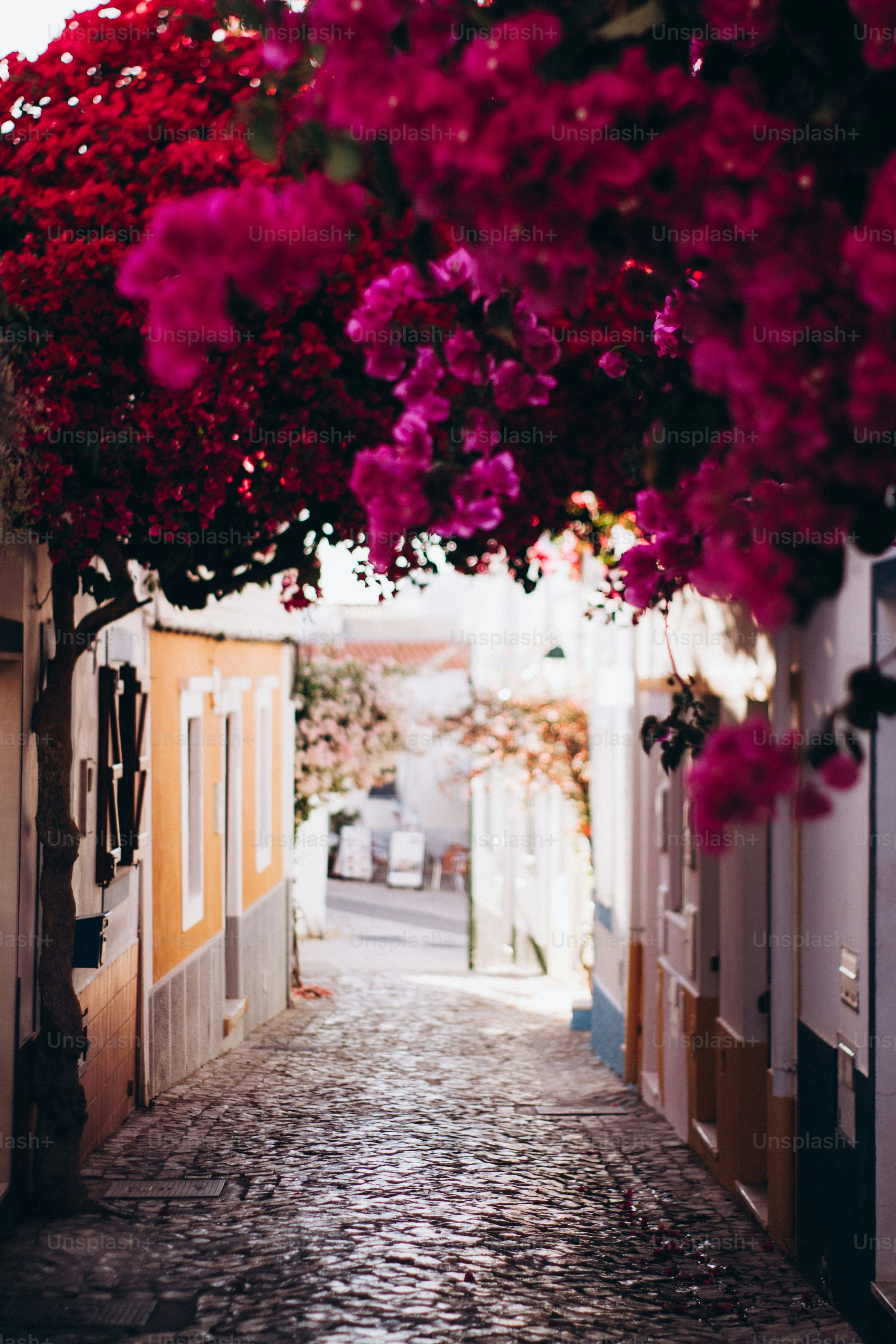 Pink Street Wallpapers - Top Free Pink Street Backgrounds - WallpaperAccess