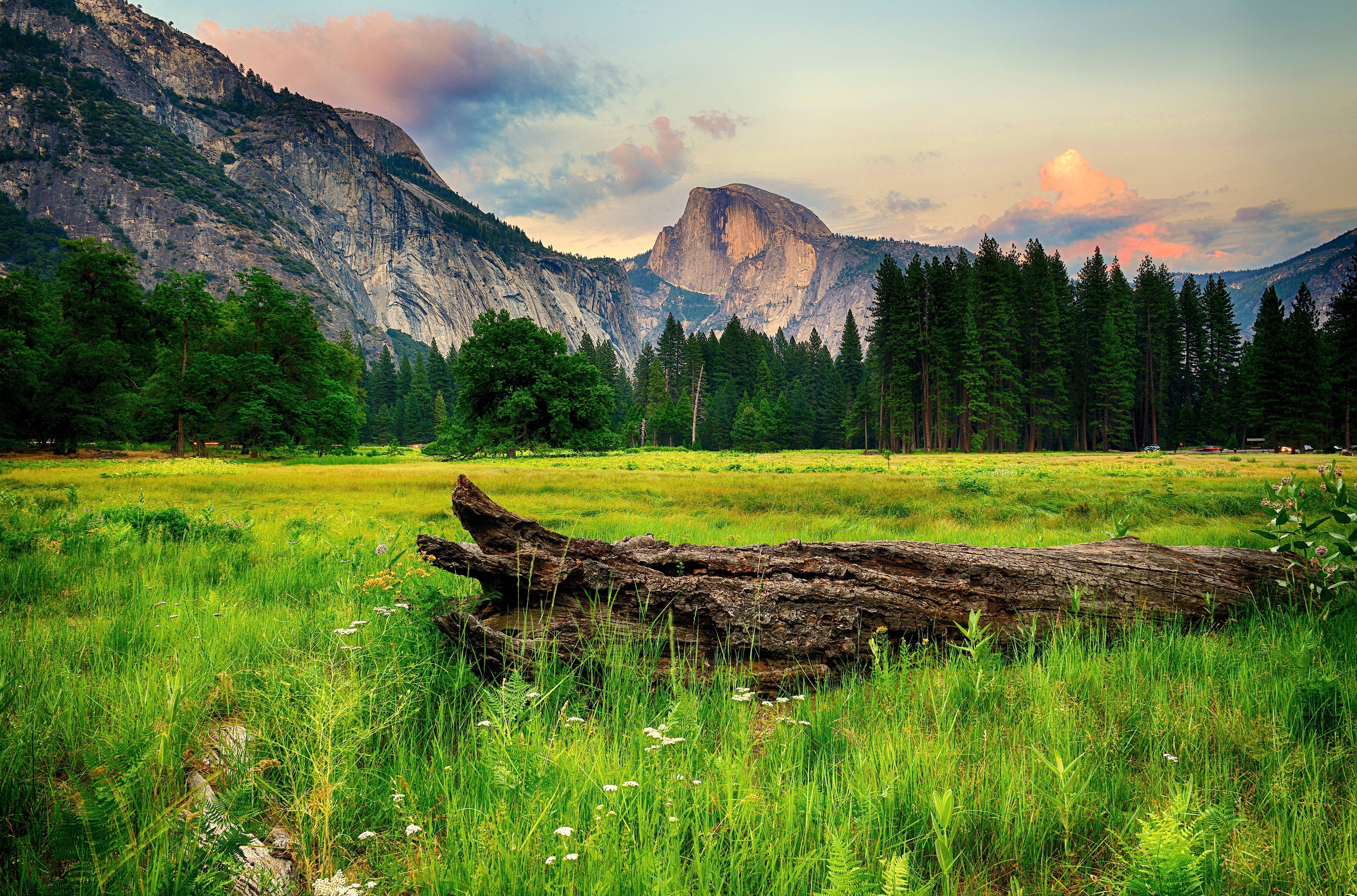 5300x3500 usa, Parks, Mountains, Forests, Scenery, Yosemite, Grass, Nature Wallpaper HD / Desktop and Mobile Background