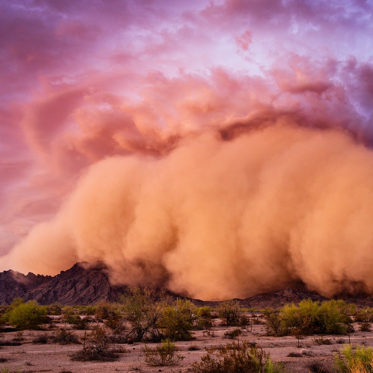 1200x1200 Weatherwatch: how dust storms heighten risk of Valley fever