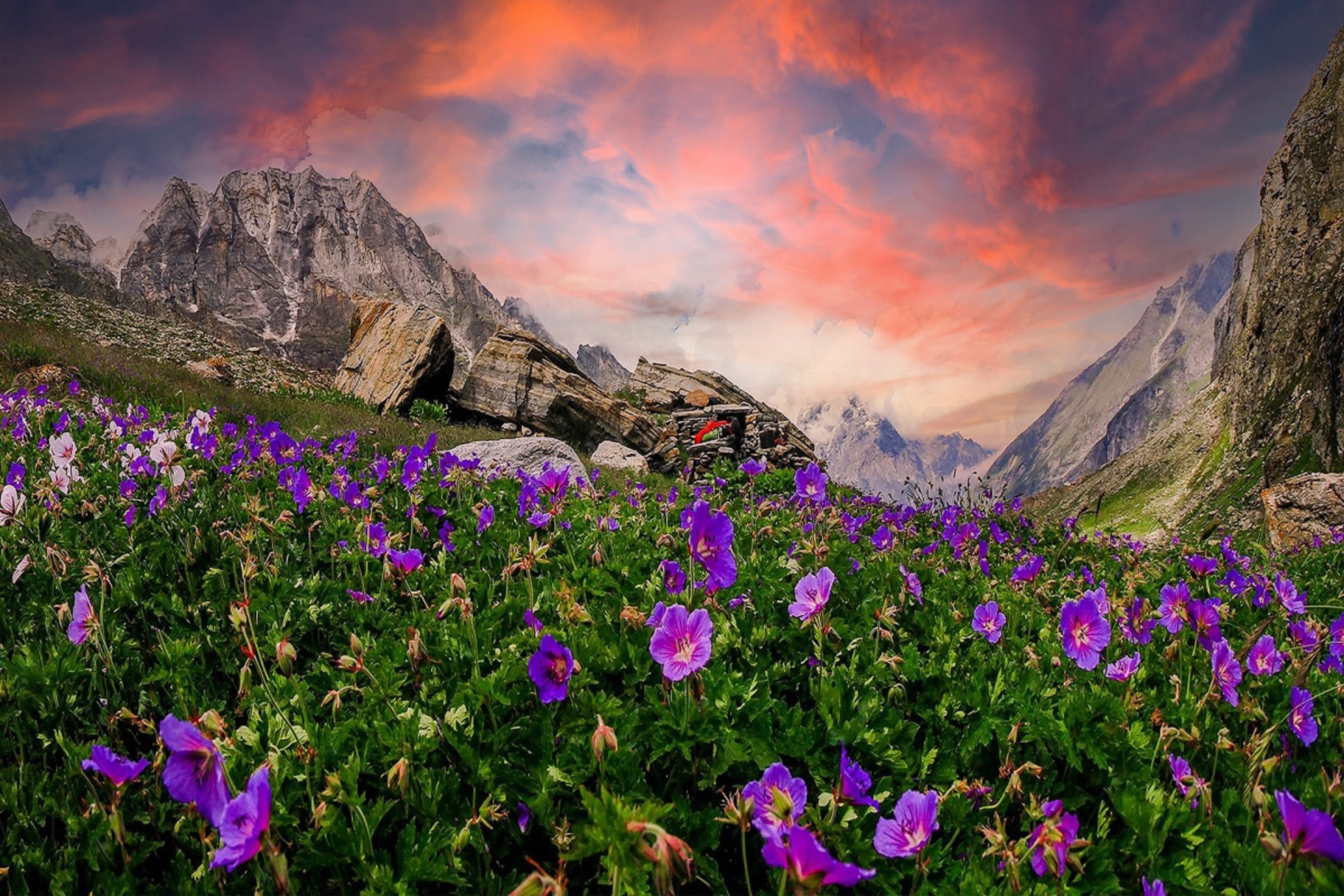 4800x3200 Valley of Flowers & Hemkund Sahib (Uttarakhand). Wellbeing By Kajal