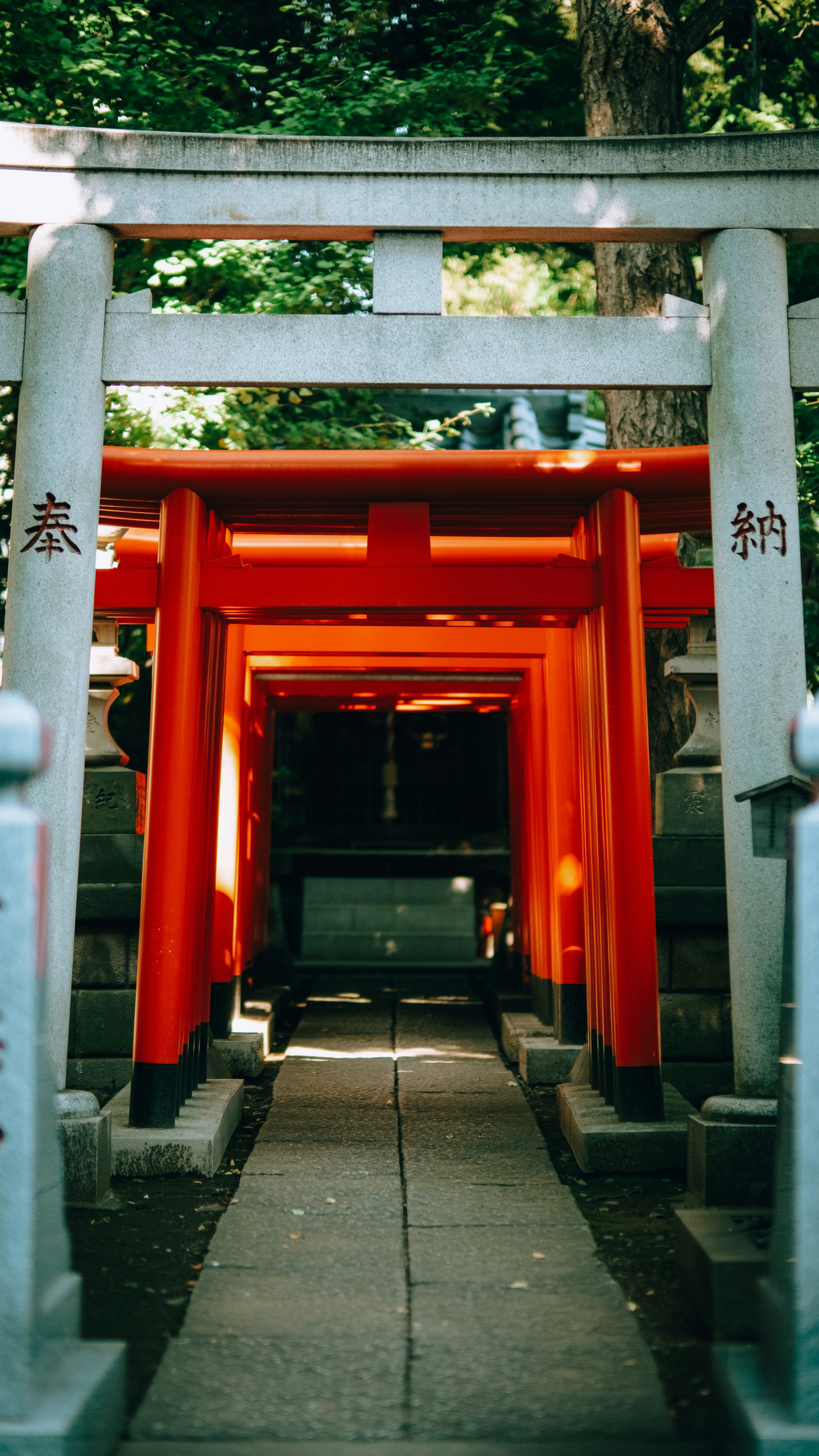 3000x5334 Path through vibrant red torii gates at shrine photo