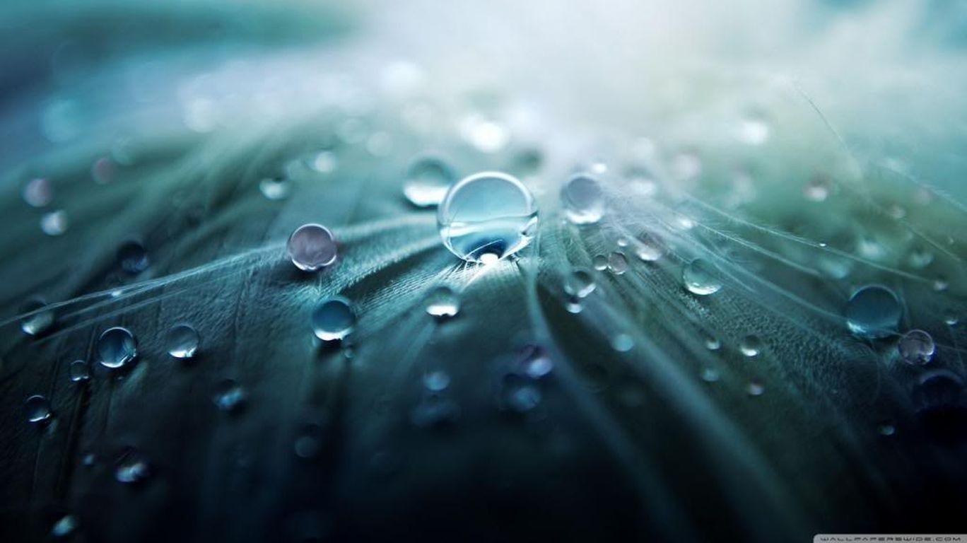 1368x768 Wallpaper
