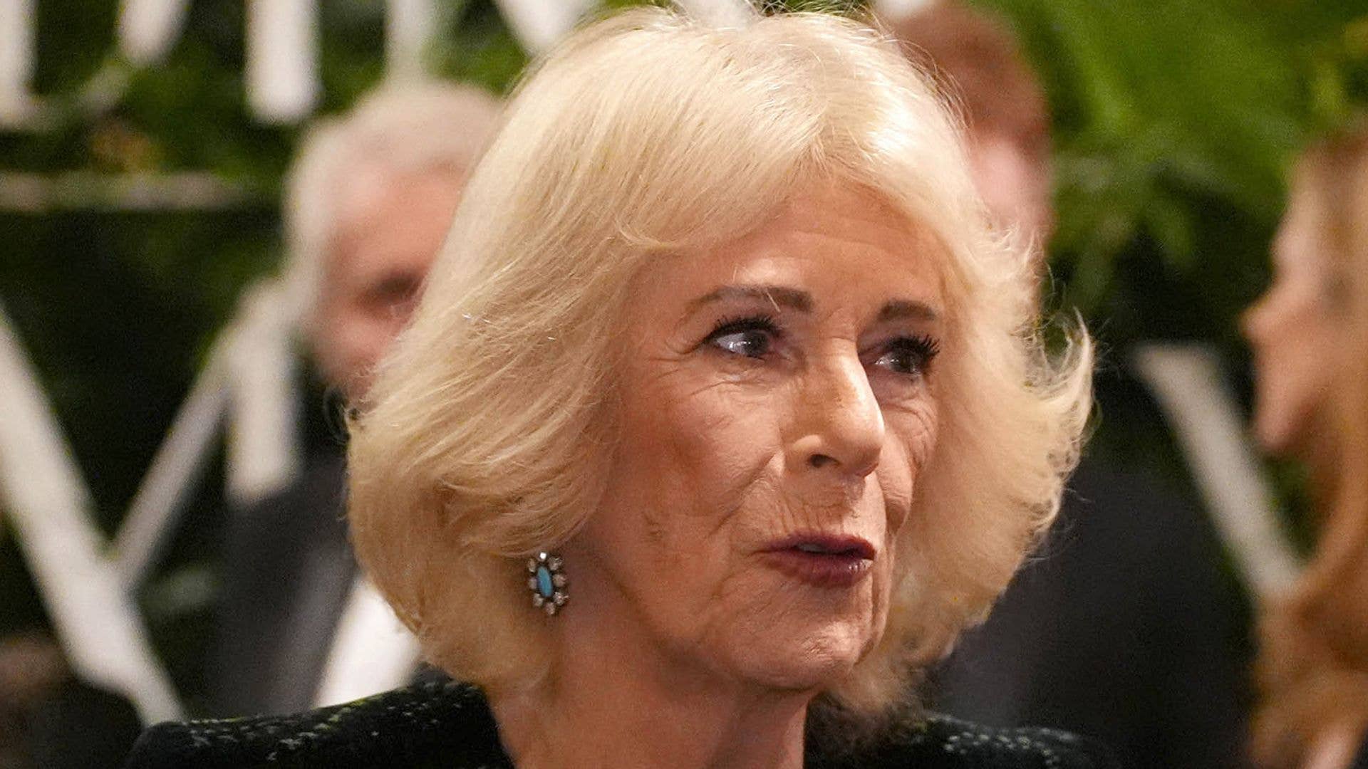 1920x1080 Queen Camilla makes a statement in velvet