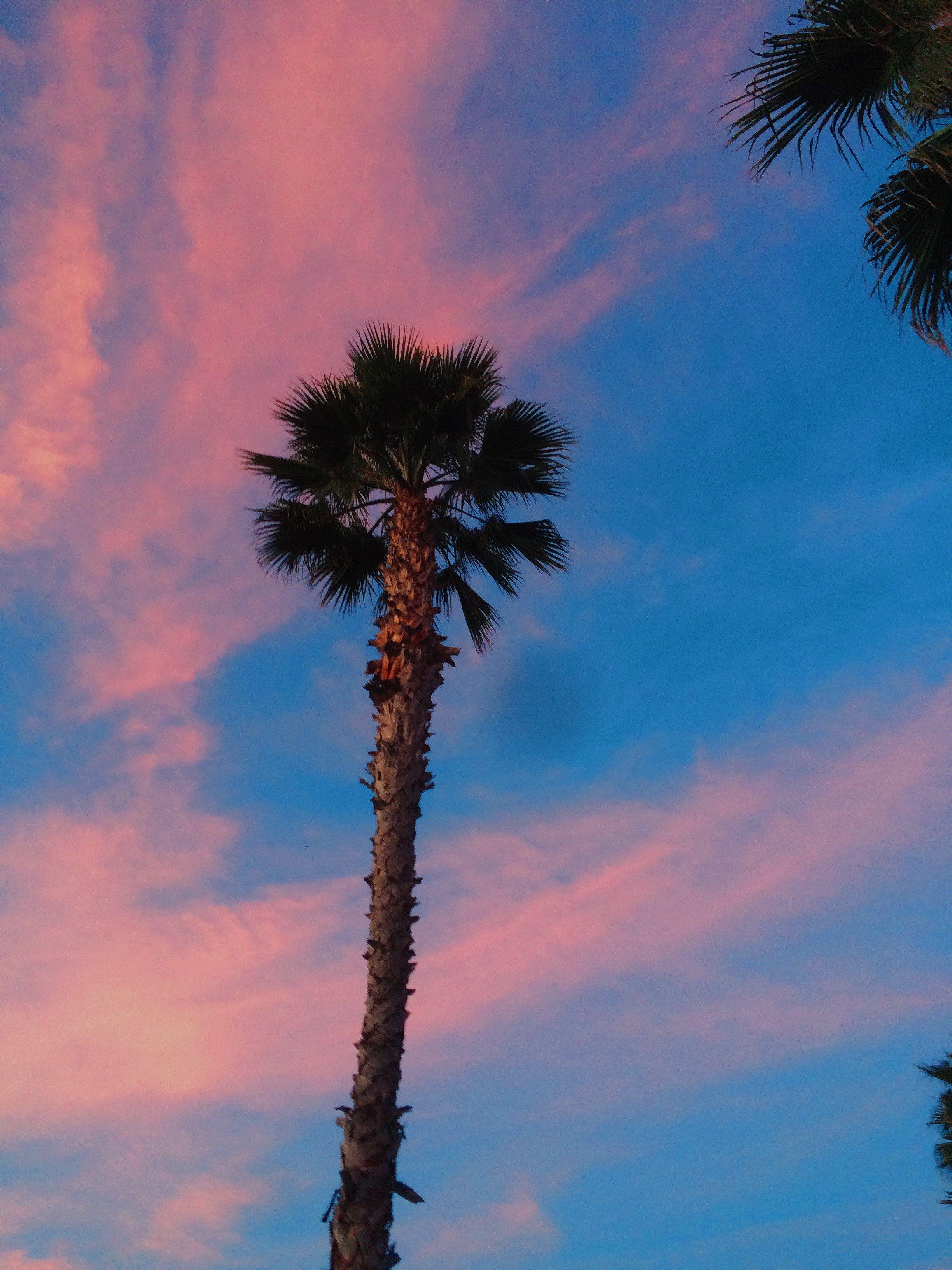 2448x3264 pink huntington beach sunset and beach HD wallpaper and background