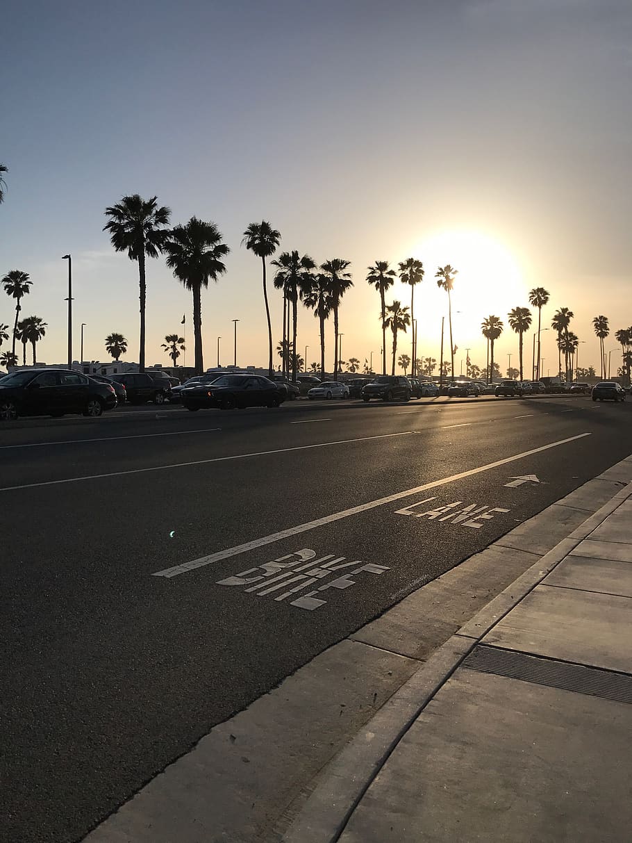 910x1213 HD wallpaper: sunset, beach, huntington beach, pch, hey, palm
