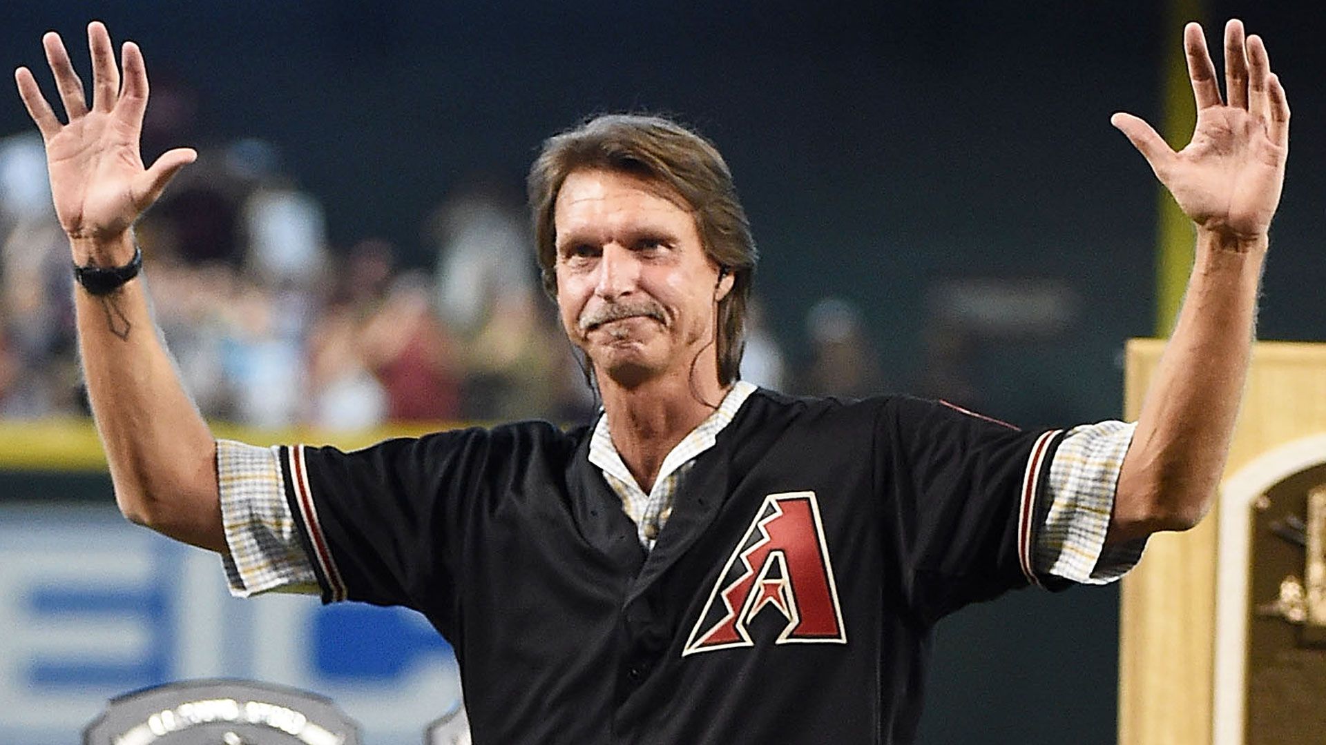 1920x1080 What is Randy Johnson doing now?