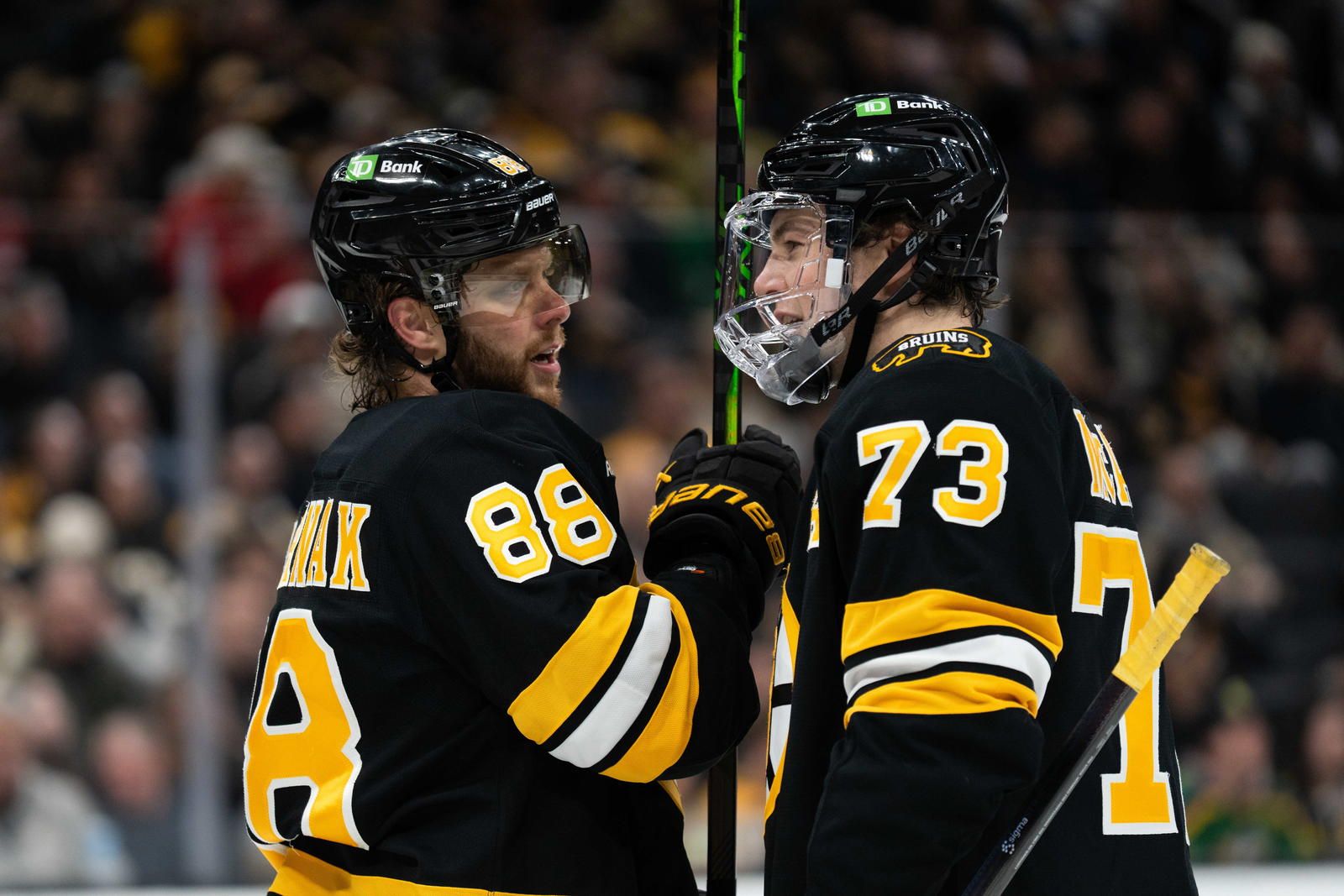 1600x1067 New Era In Boston Lead By Pastrnak And McAvoy Has The Bruins Competitive Again