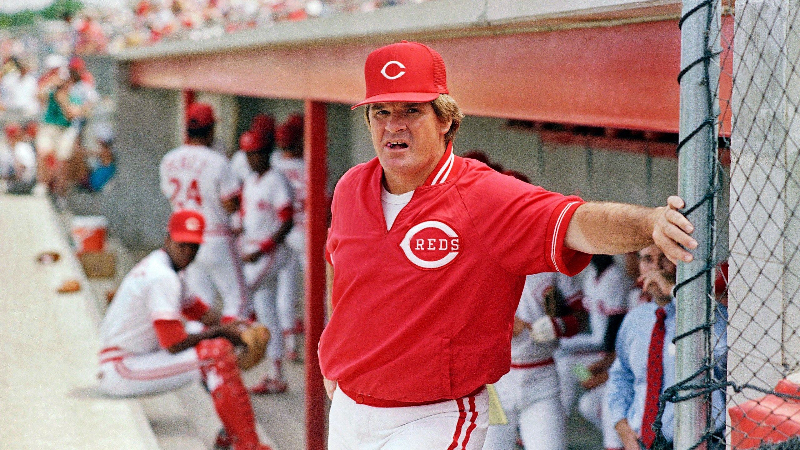 2560x1440 Report: Major League Baseball hits leader Pete Rose dead at age 83