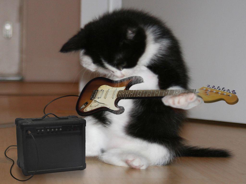 1024x768 Guitar Hero wallpaper. Guitar Hero