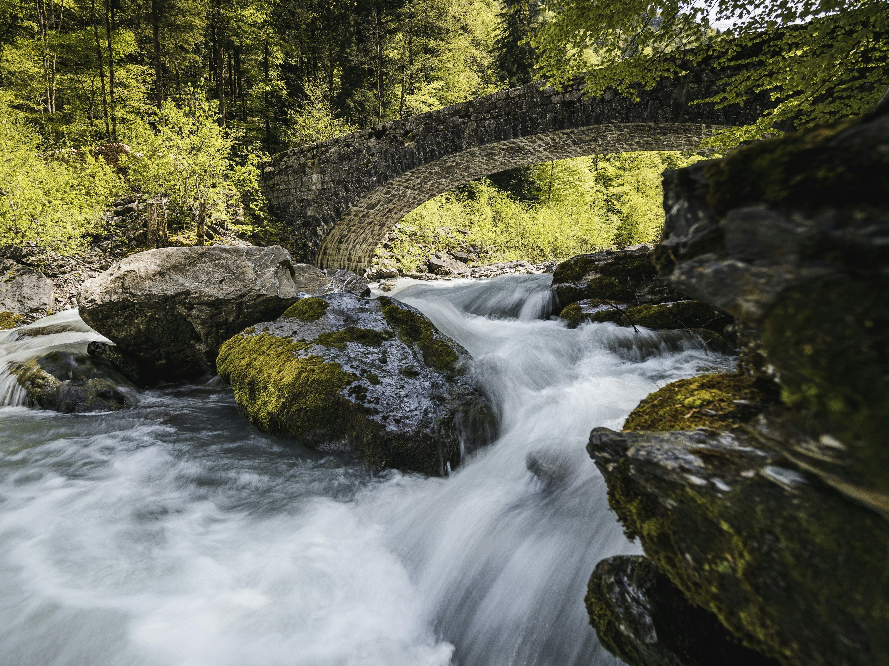 3000x2250 A stone bridge over a rushing river in a forest photo