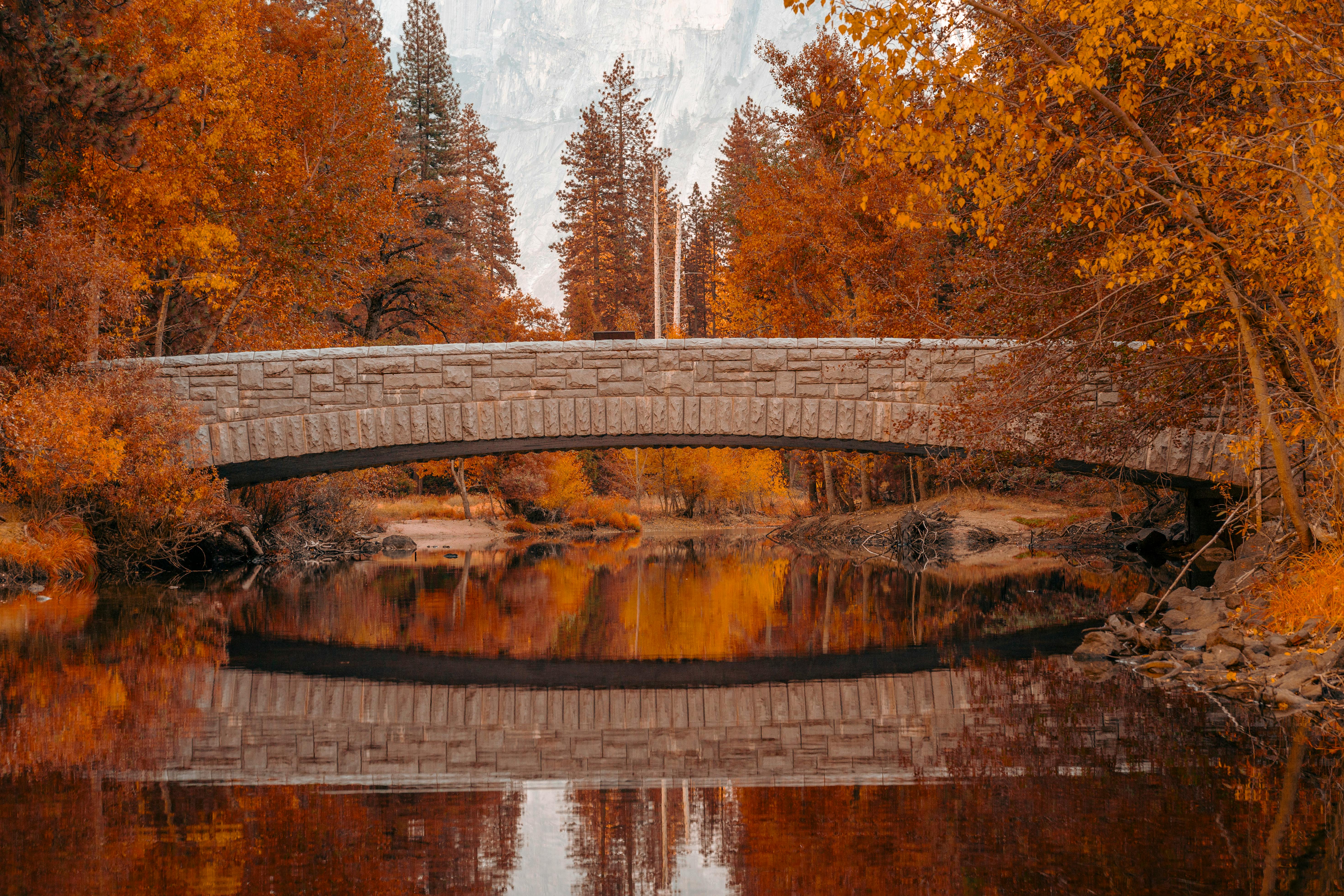 5887x3925 Rustic Stone Bridge over Golden Gate Park River · Free