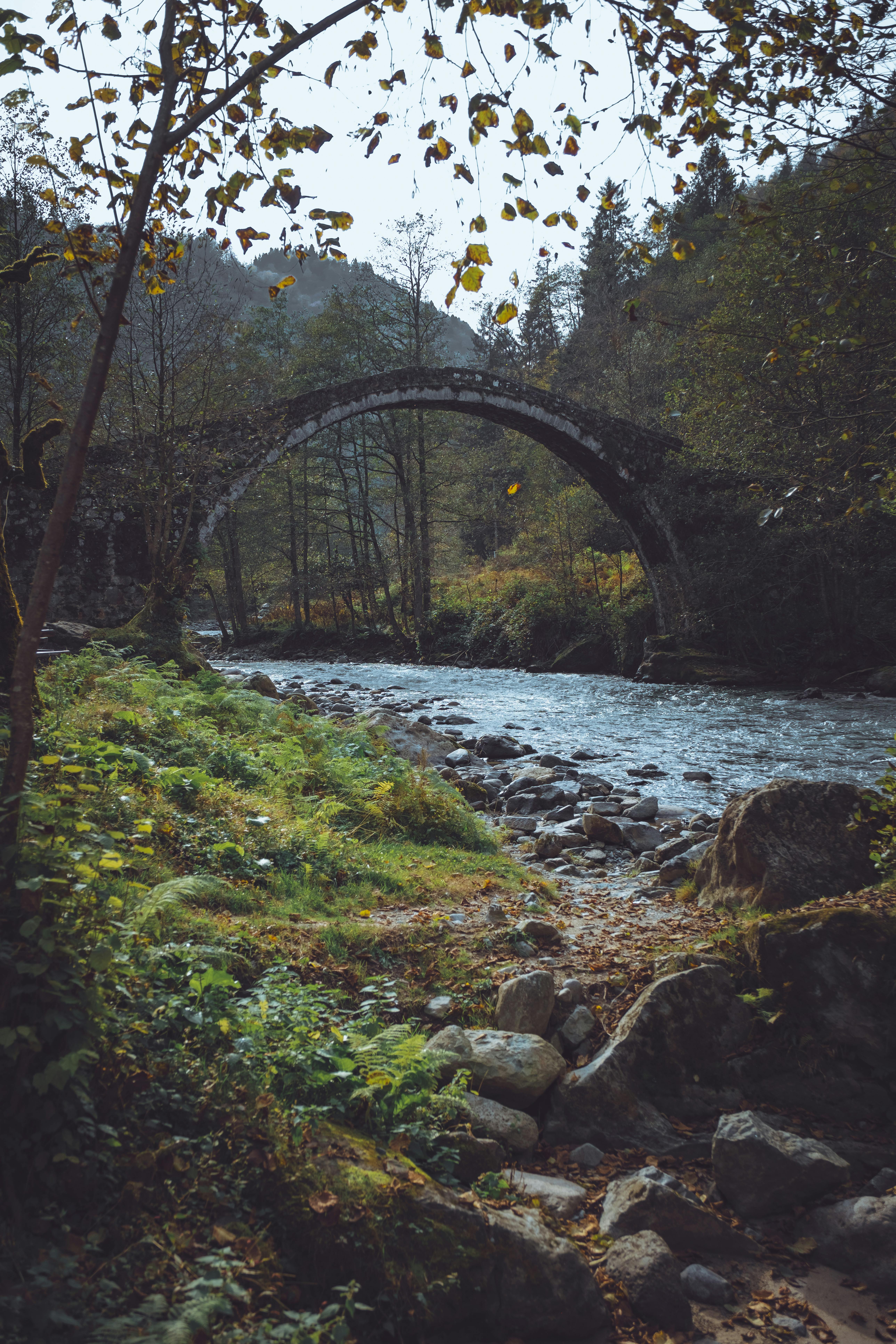 5152x7728 Historic Stone Bridge in Cairngorms National Park · Free