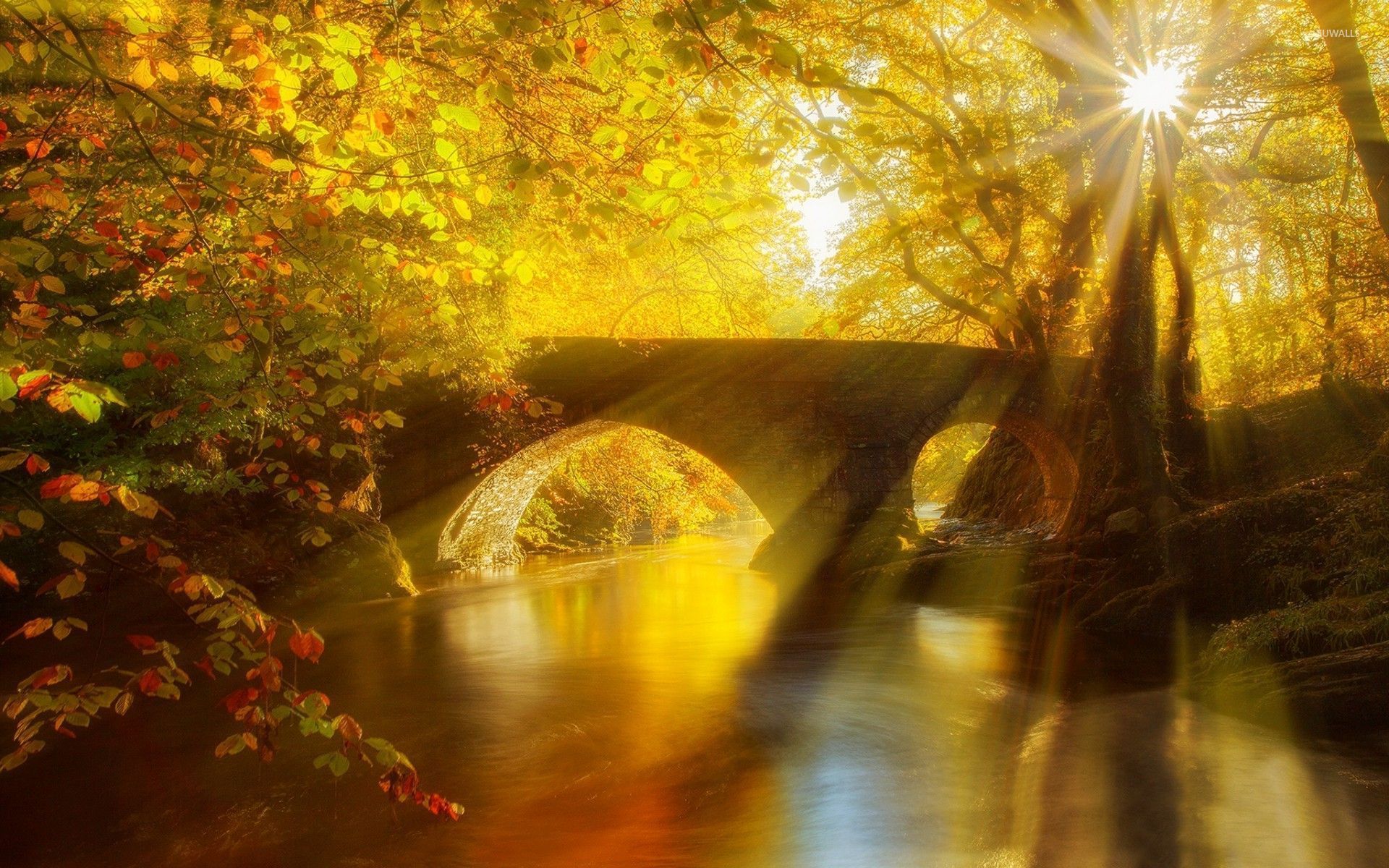 1920x1200 Stone bridge in an golden forest wallpaper wallpaper