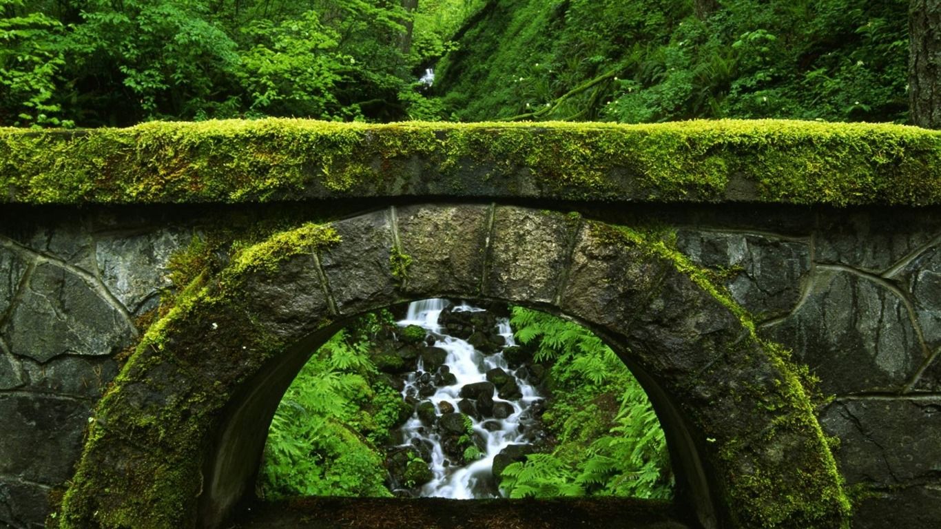 1366x768 Old Green Bridge Natural Scenery HD Wallpaper