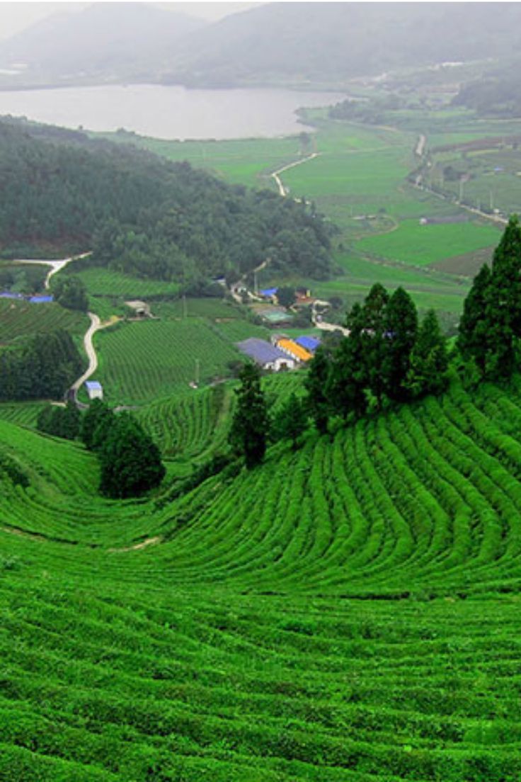 736x1104 Visit Sylhet, Bangladesh