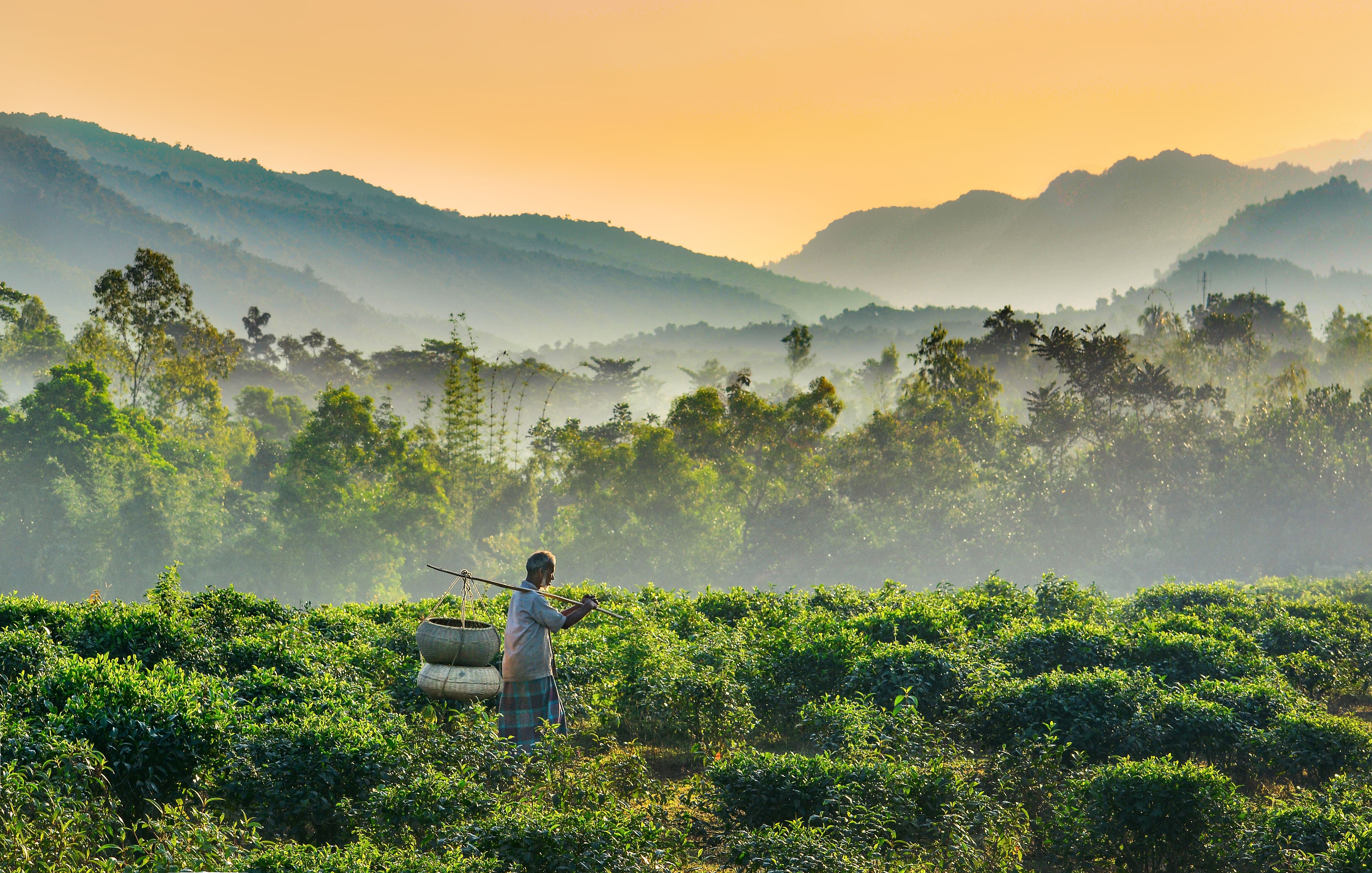 4880x3104 Sylhet Wallpaper