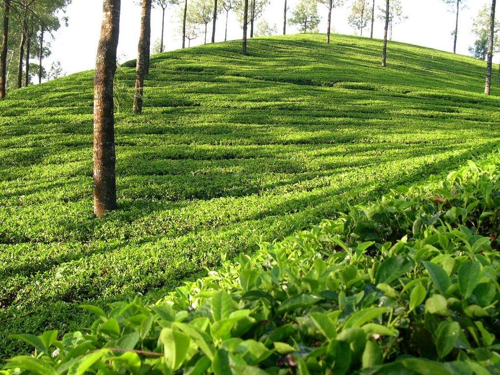 1024x768 Sylhet Wallpaper