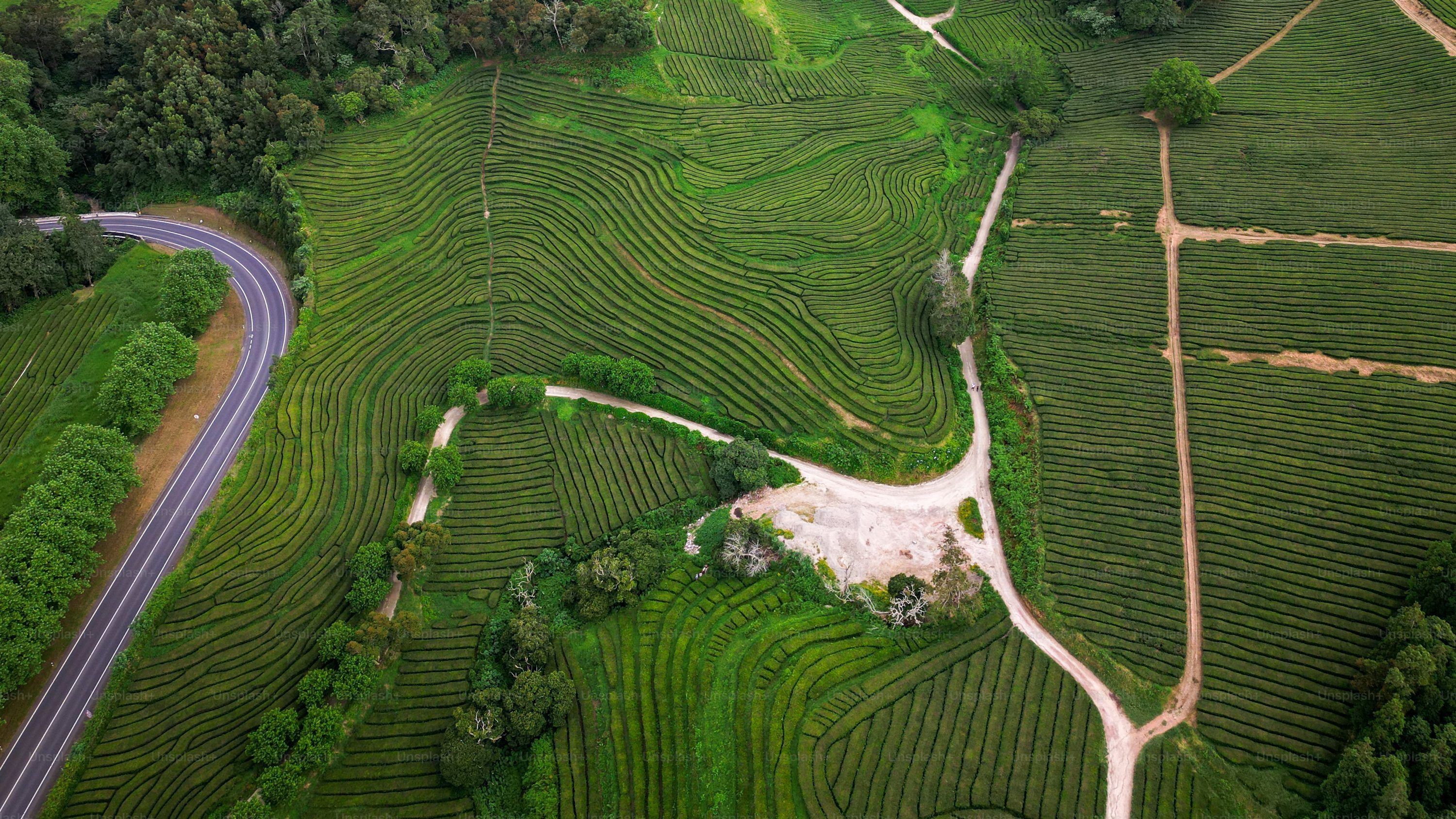 3000x1688 Sylhet, Bangladesh Picture. Download Free Image