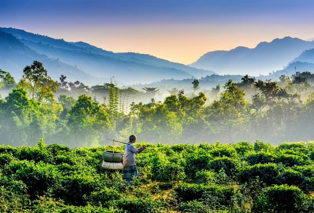 1080x733 Sylhet, Bangladesh. One of the most beautiful landscape in Bangladesh