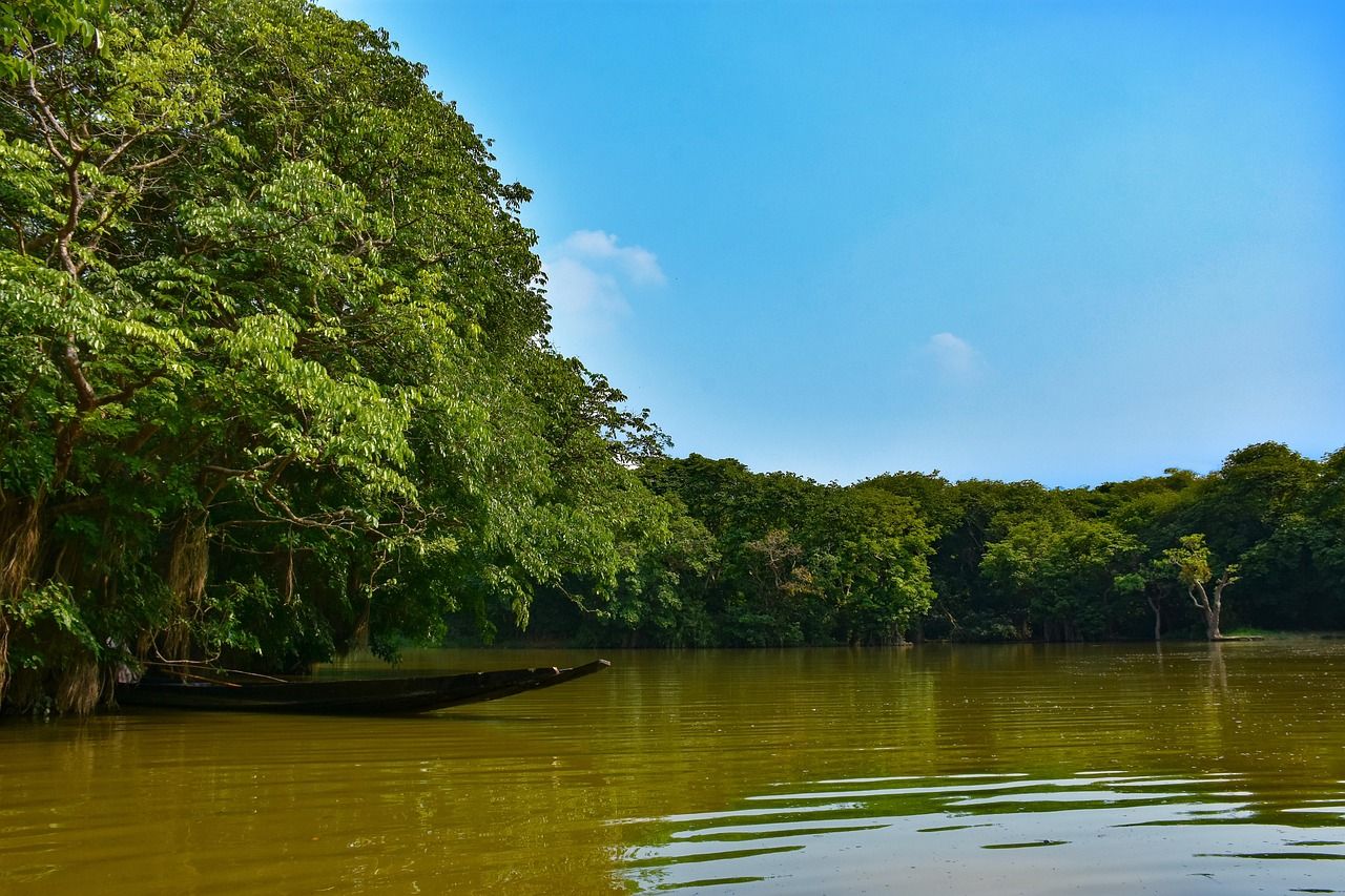 1280x853 Free Free Picture Scenic & Nature Image