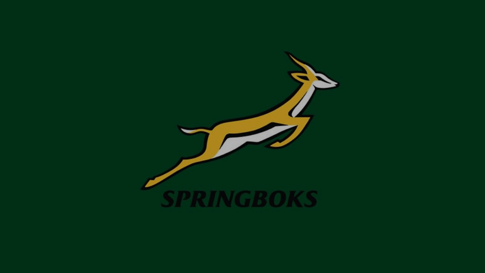 1600x900 Posters Springboks South Africa Rugby