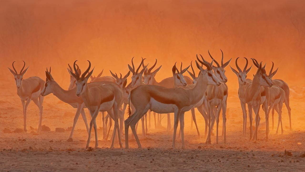 1280x720 Bing Wallpaper Archive