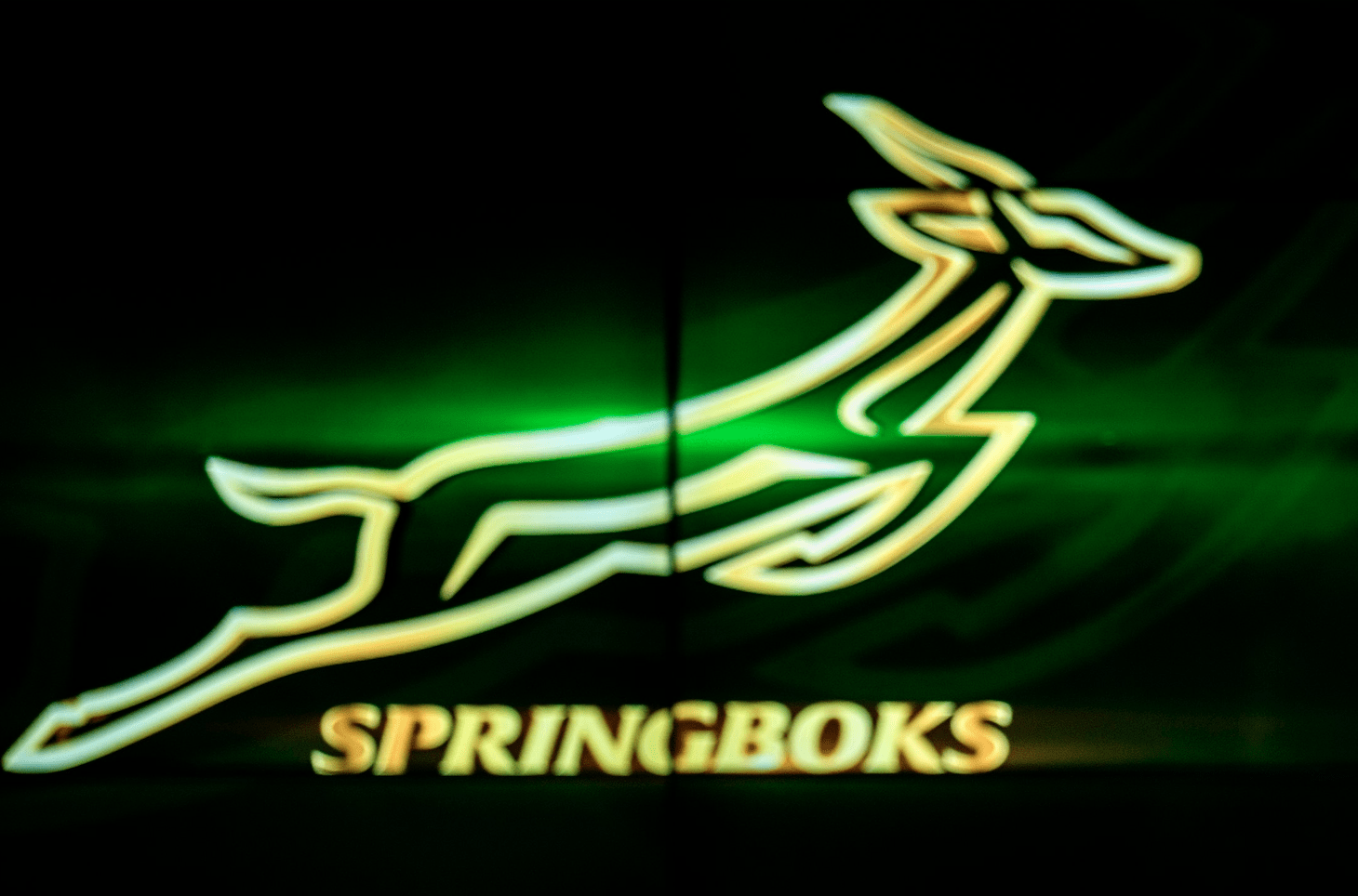 1460x964 Covid hits Springboks camp World magazine