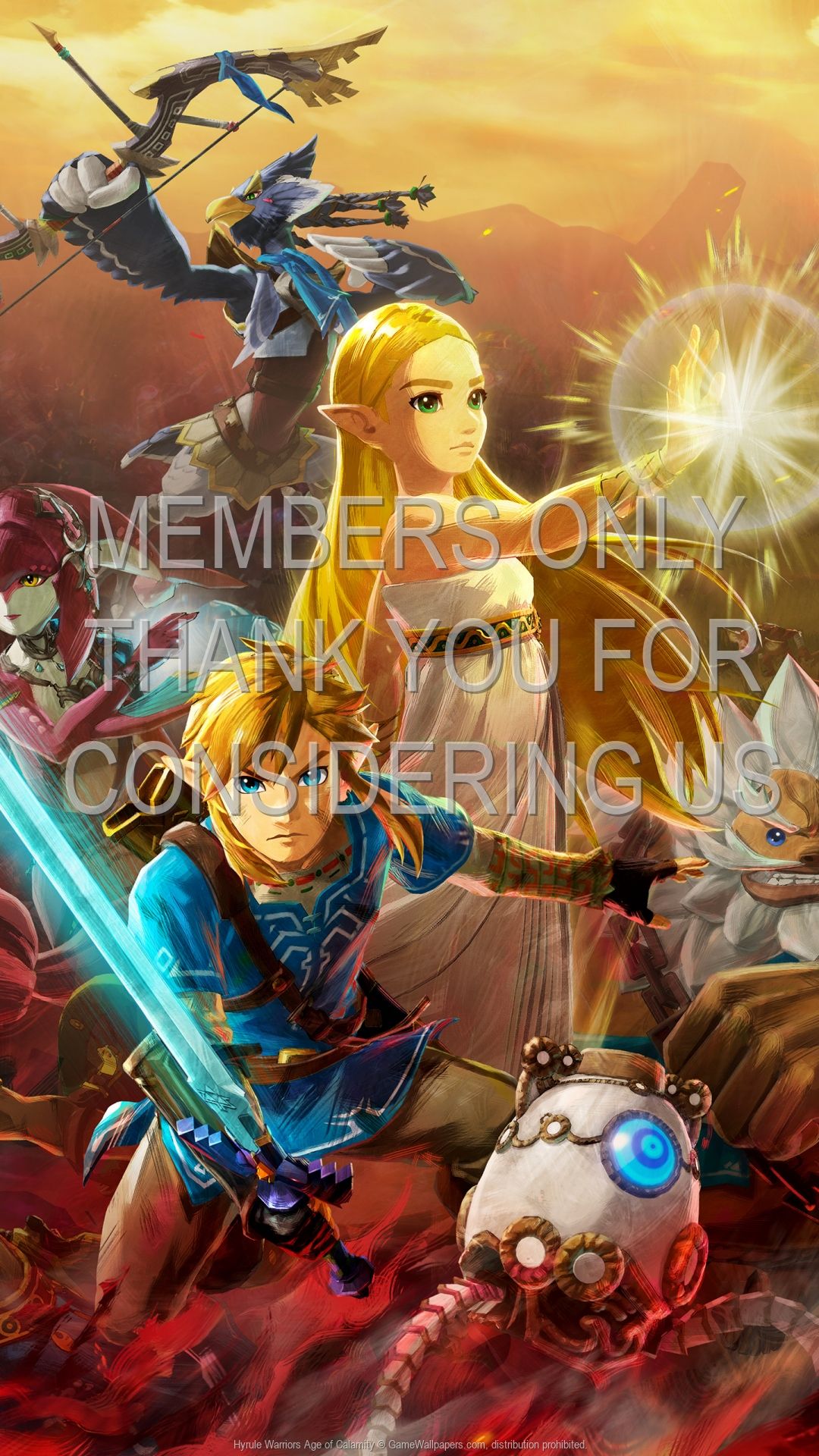1080x1920 Hyrule Warriors: Age of Calamity wallpaper 01 1080p Vertical