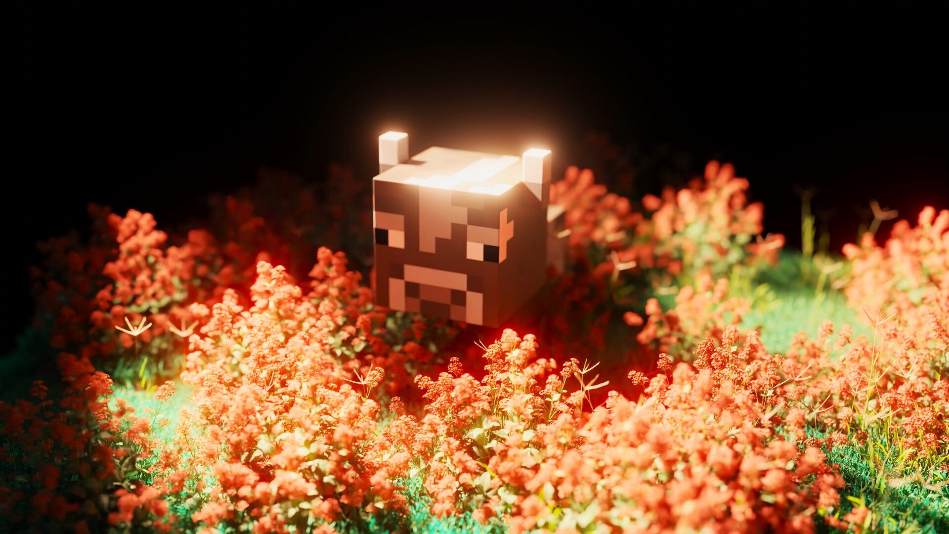 1920x1080 Minecraft baby Cow