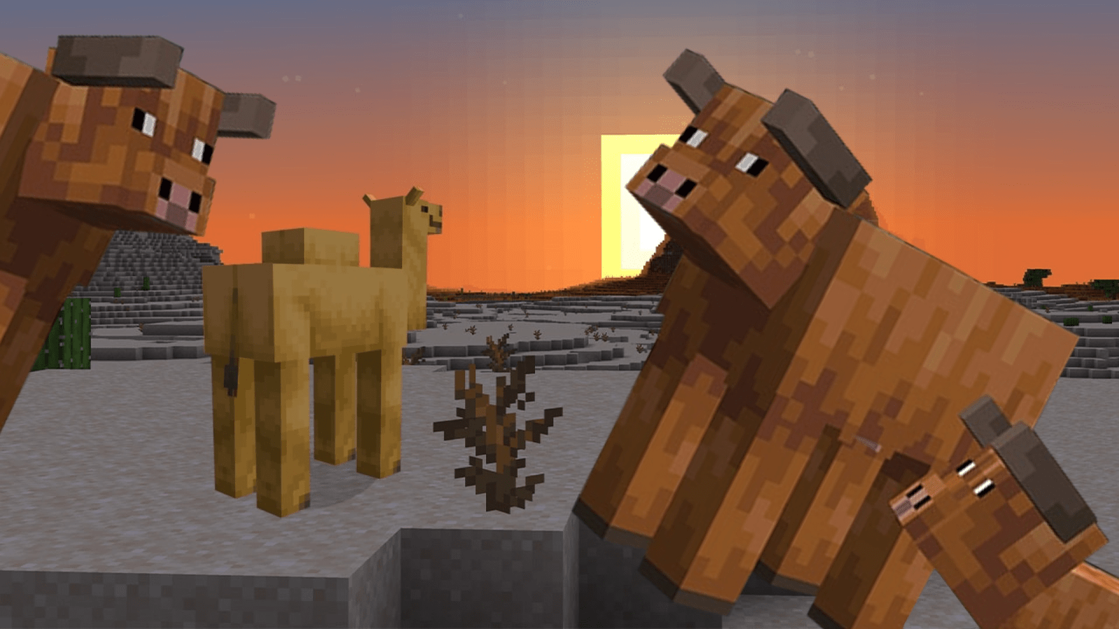 1600x900 Minecraft's latest public testing update adds new cow variants, shrubbery fireflies, and bush