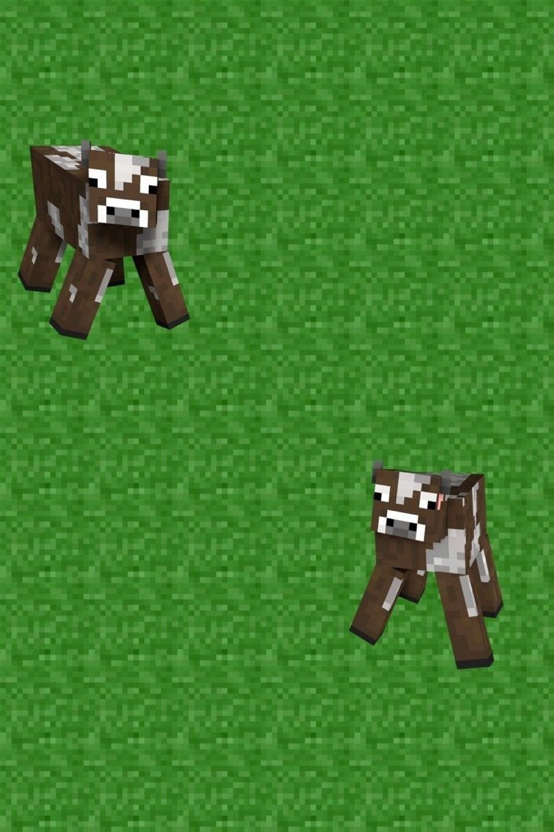 800x1200 Here's and iPhone wallpaper I made.cows