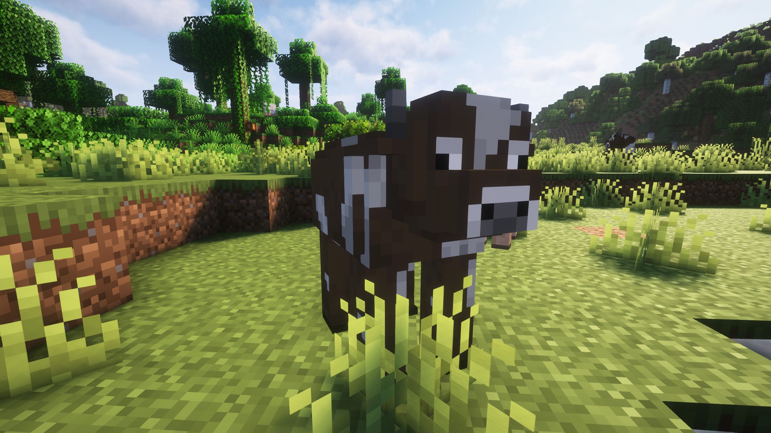 2560x1440 Realistic Cows Resource Packs