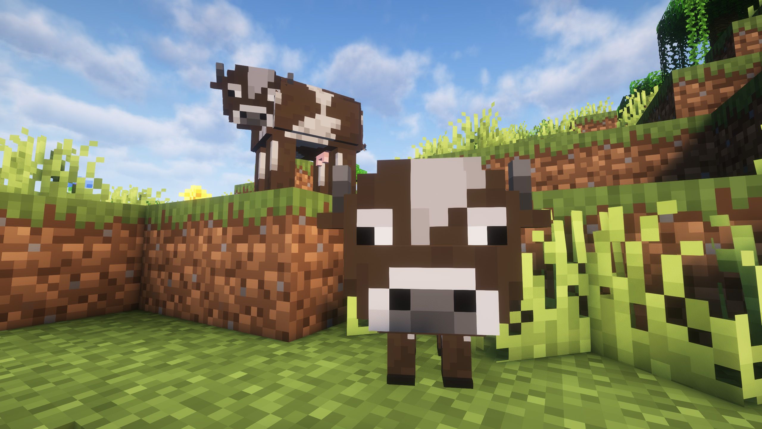 2560x1440 Realistic Cows Resource Packs