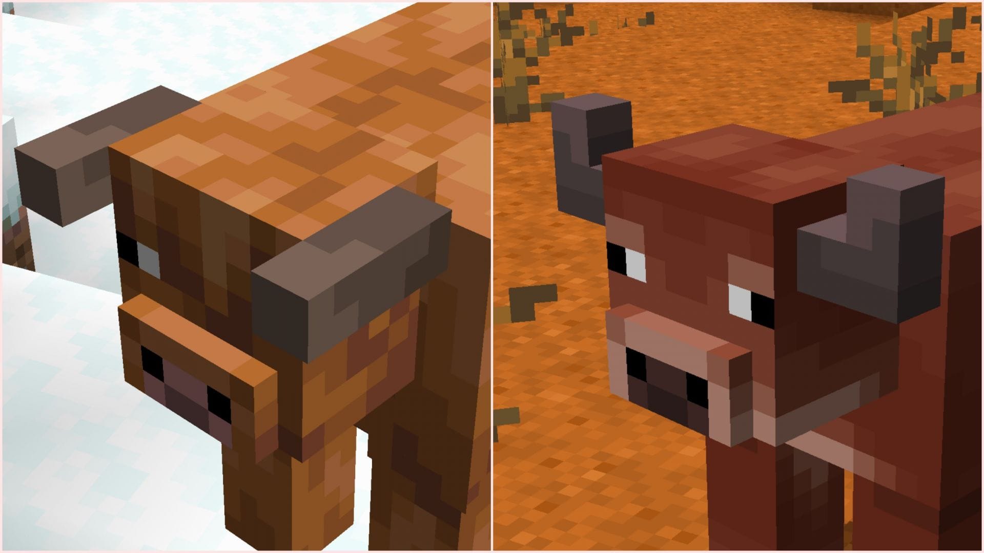1920x1080 Minecraft cow variants: Everything you need to know